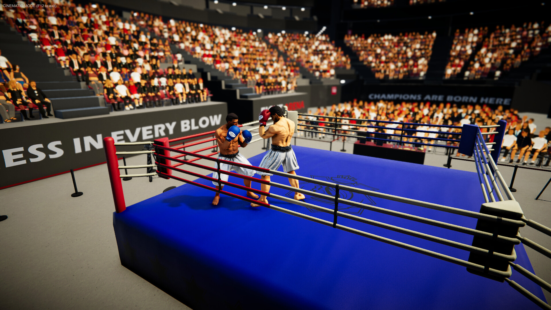 Corner King: Boxing Manager Screenshot 2