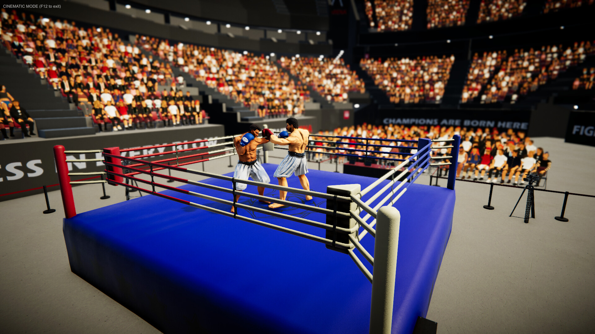 Corner King: Boxing Manager Screenshot 1