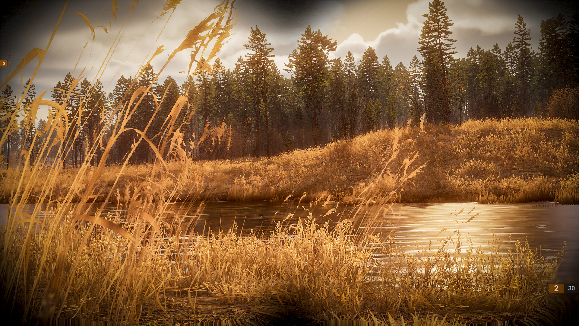 BULT: Hunting simulator Screenshot 4