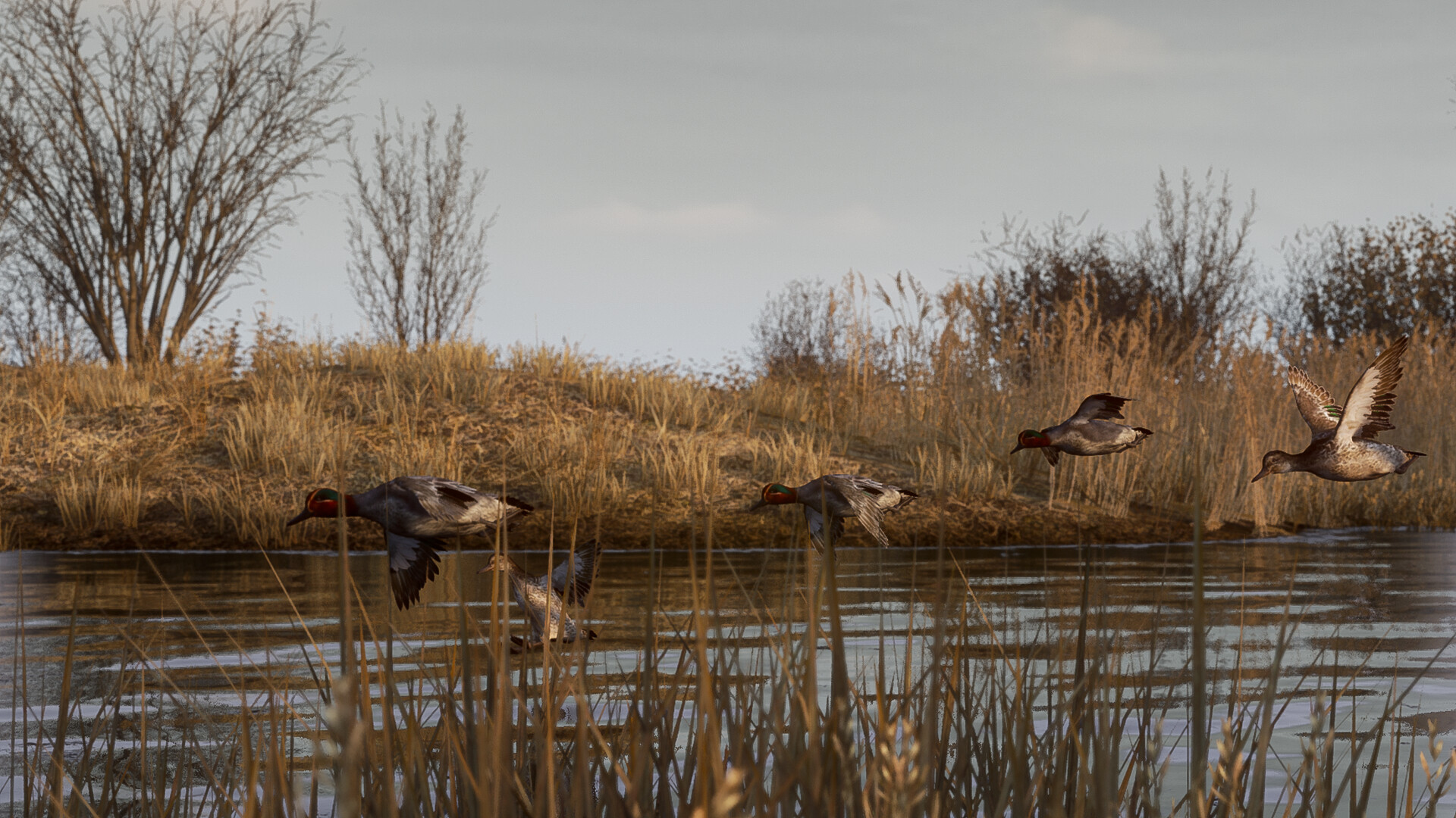 BULT: Hunting simulator Screenshot 1