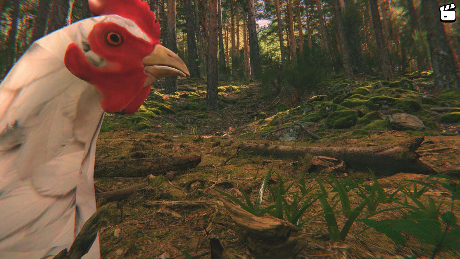 Catch the Chiken Screenshot 2