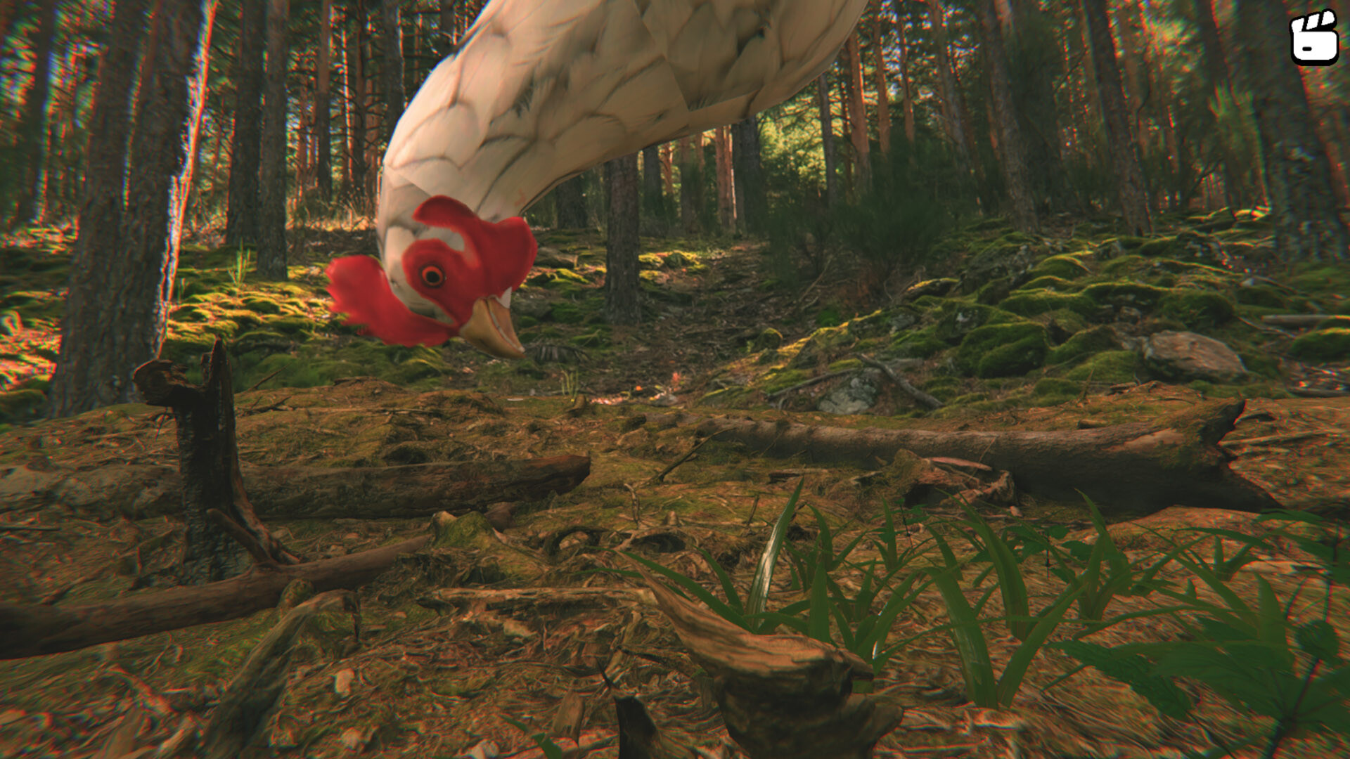 Catch the Chiken Screenshot 4