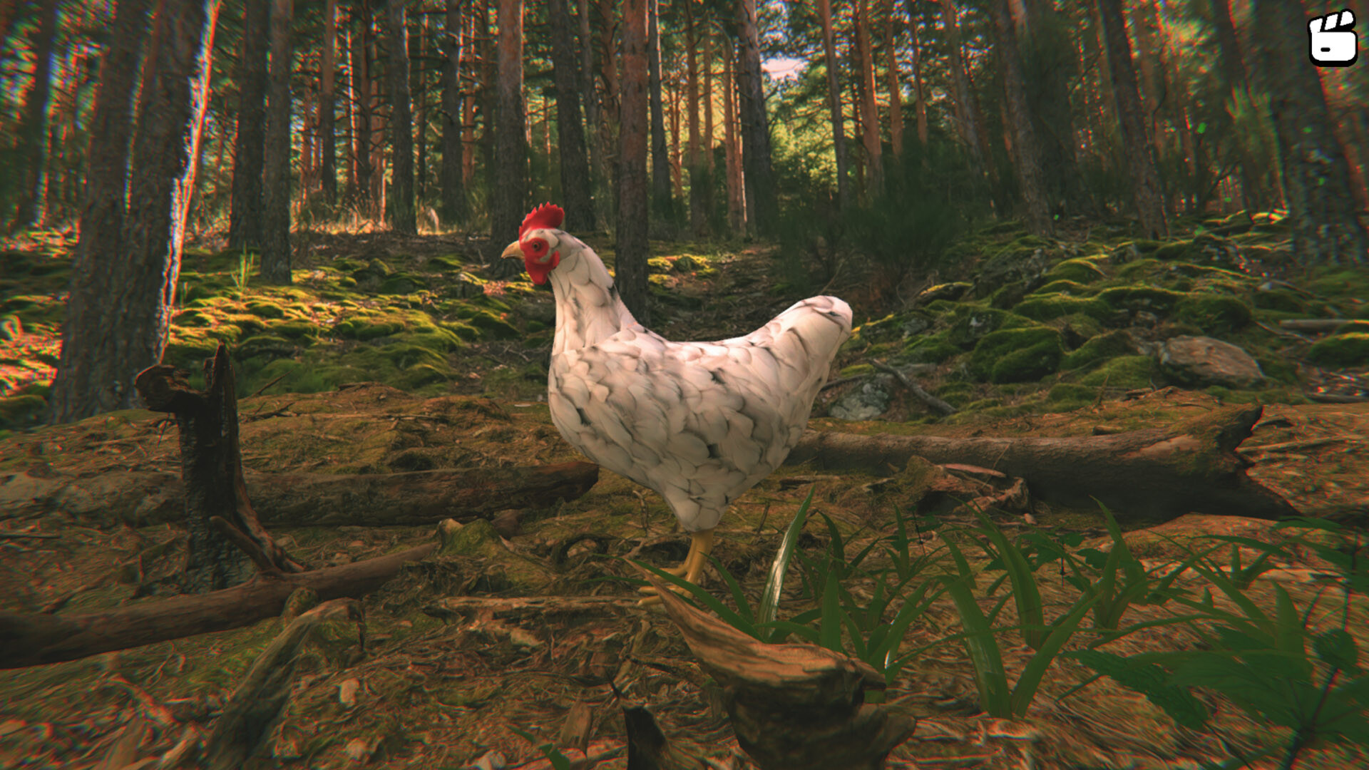 Catch the Chiken Screenshot 5