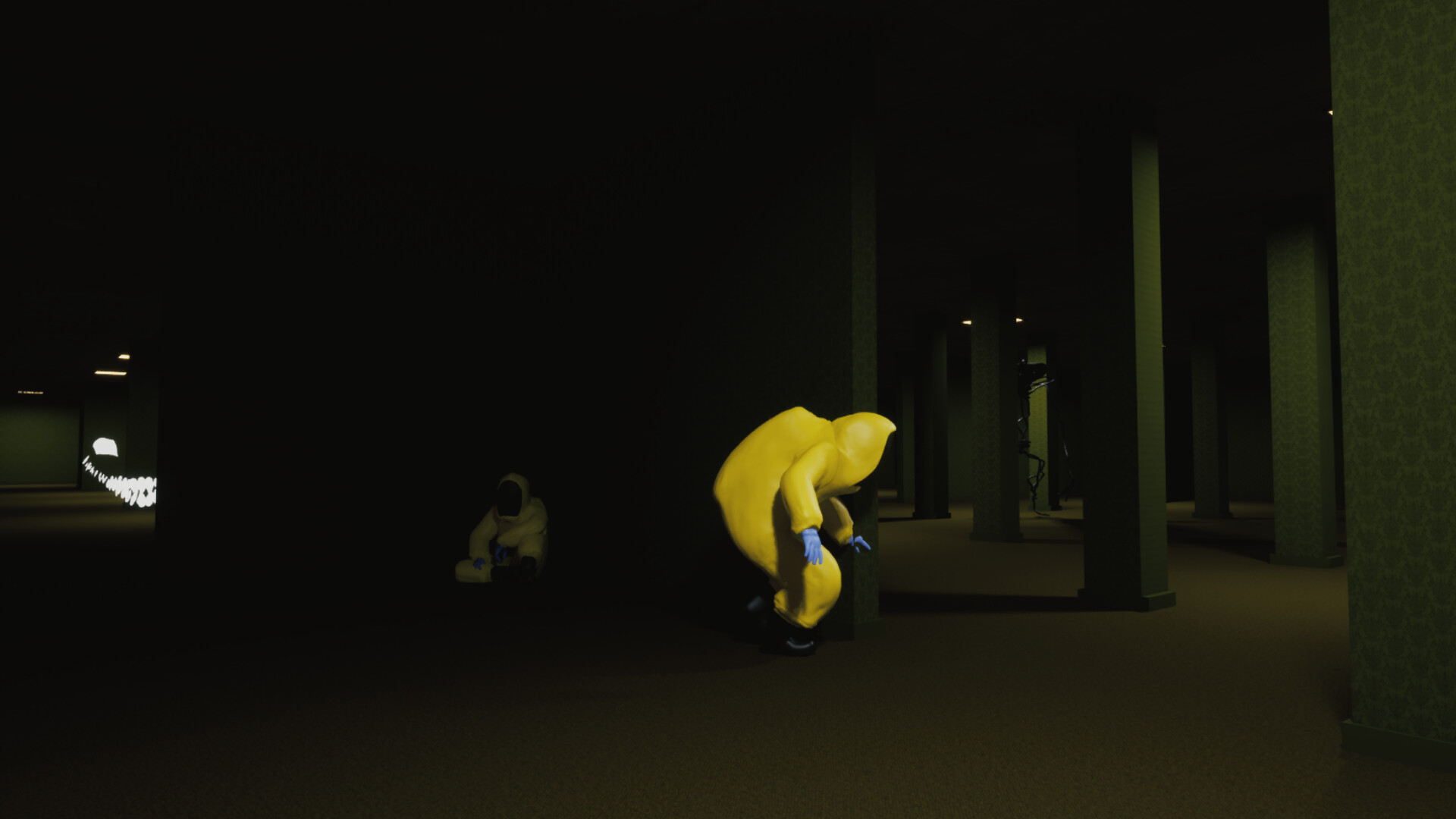 Shadow of Backrooms Screenshot 0