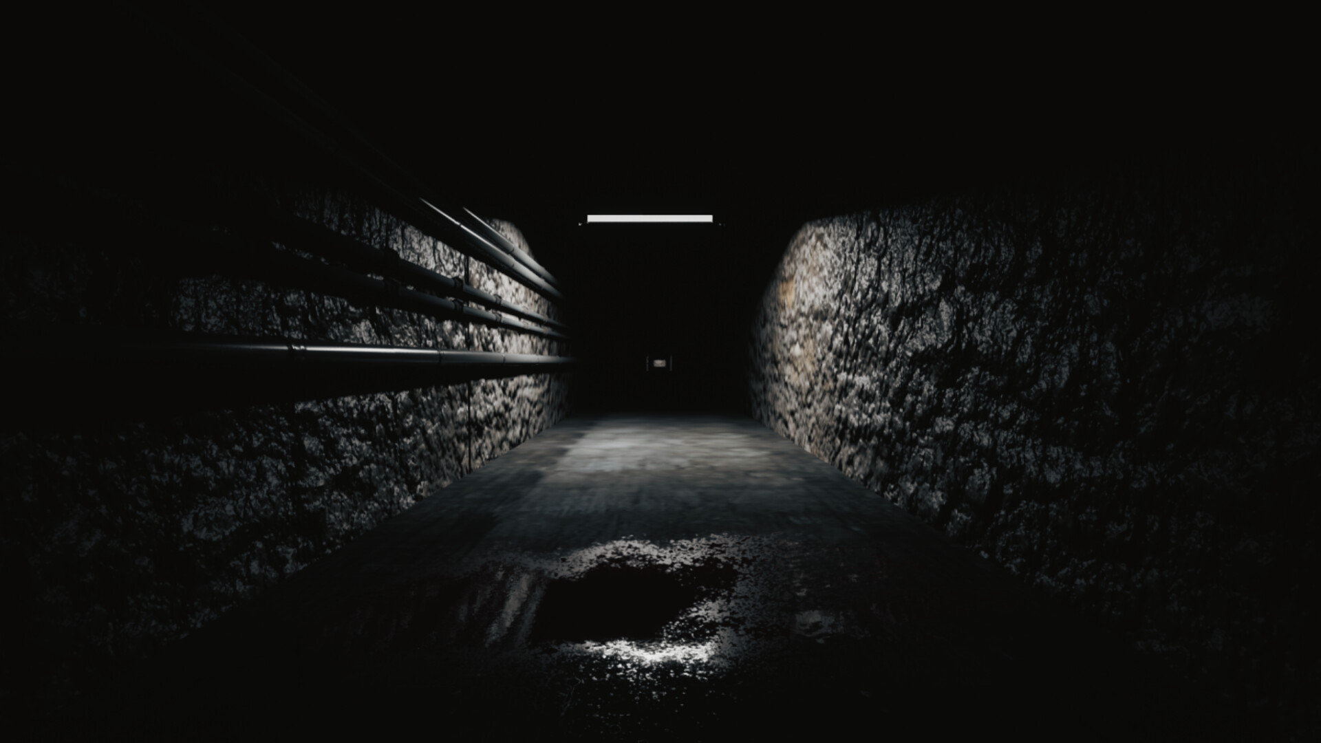 Shadow of Backrooms Screenshot 3