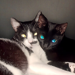 Found Mortícia & Ophelia icon