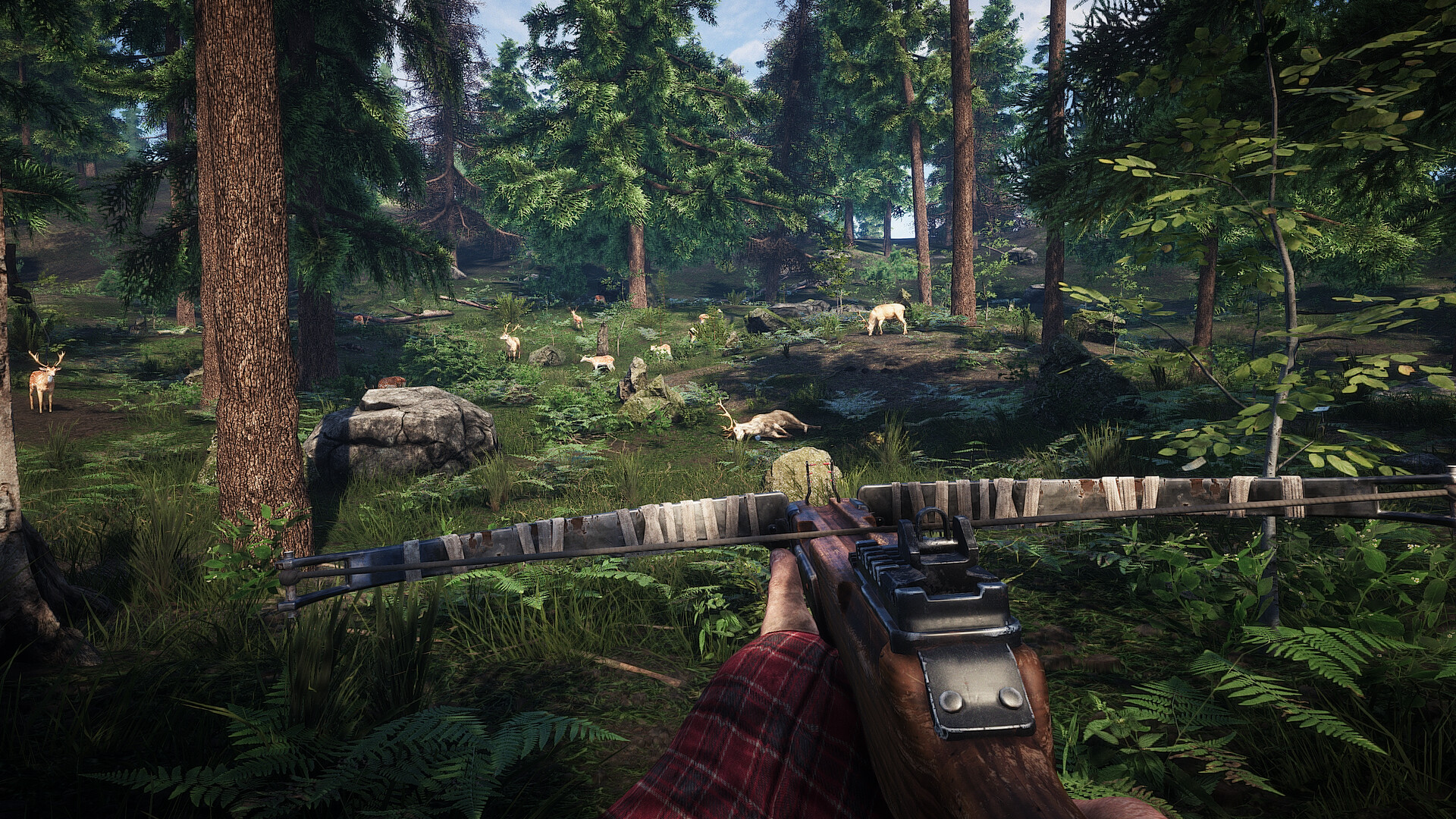 Survive the Nights Screenshot 12