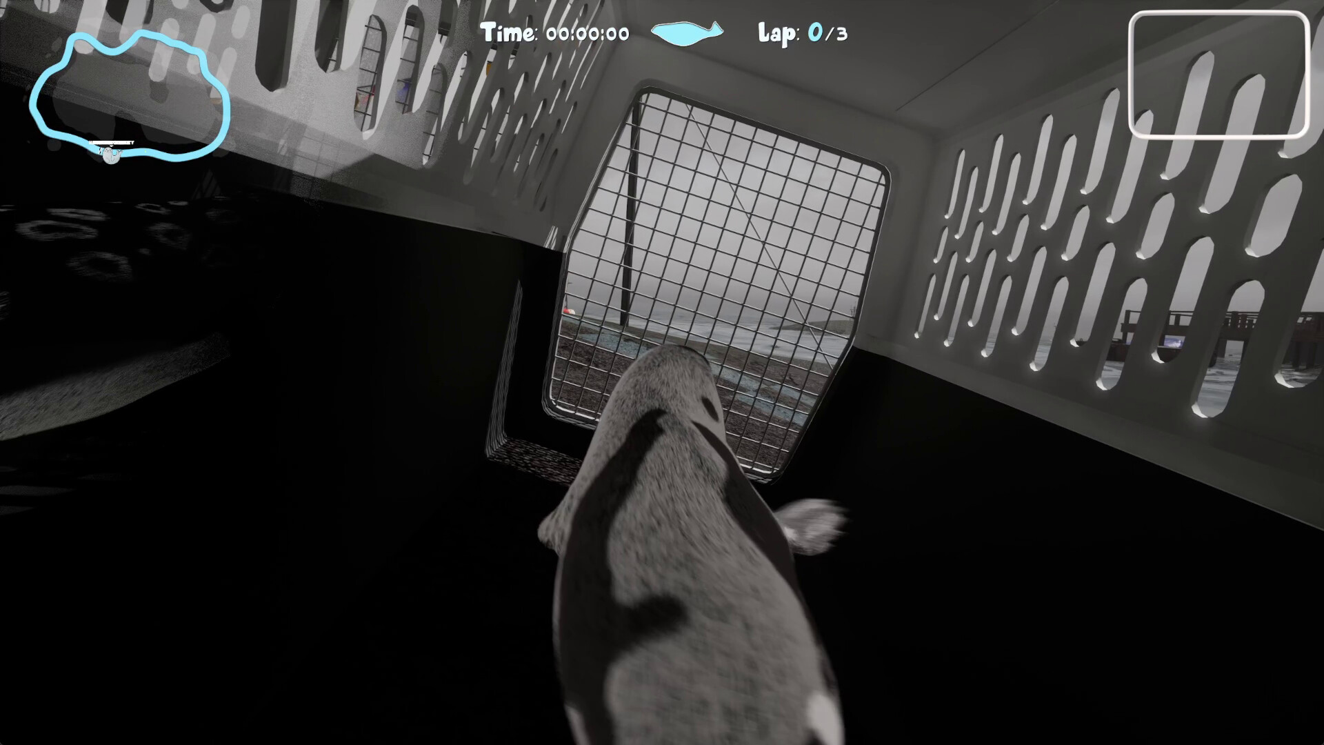 Flipper Frenzy Screenshot 3