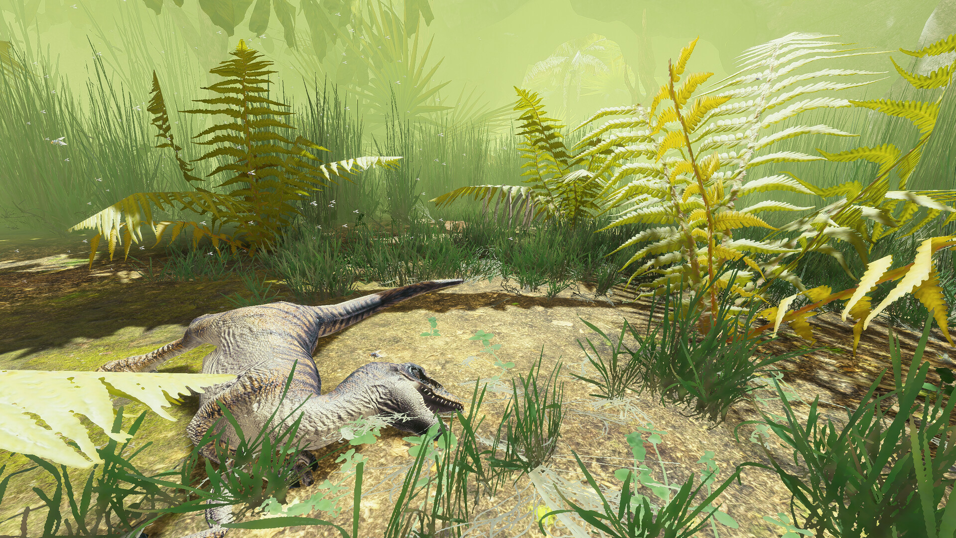 Pteranodon 2: Primal Island Screenshot 11