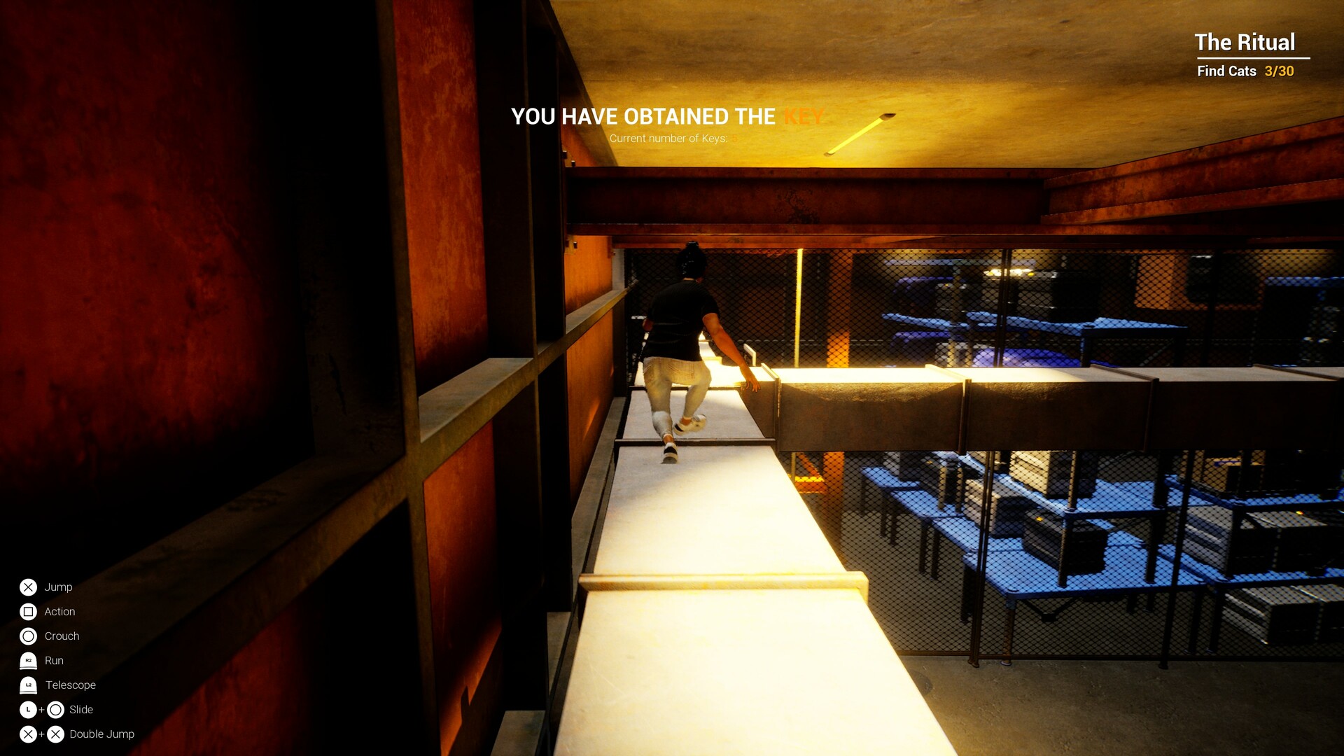 Cats Ritual Screenshot 11