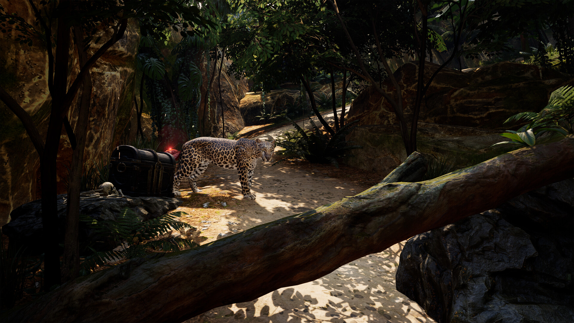 Pirates VR: Jolly Roger Screenshot 5