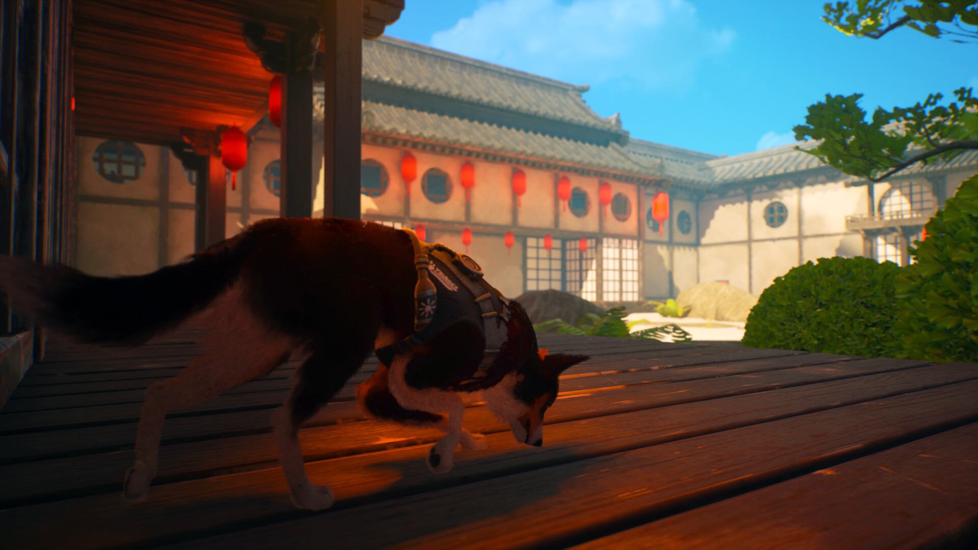 Barkour Demo Screenshot 11