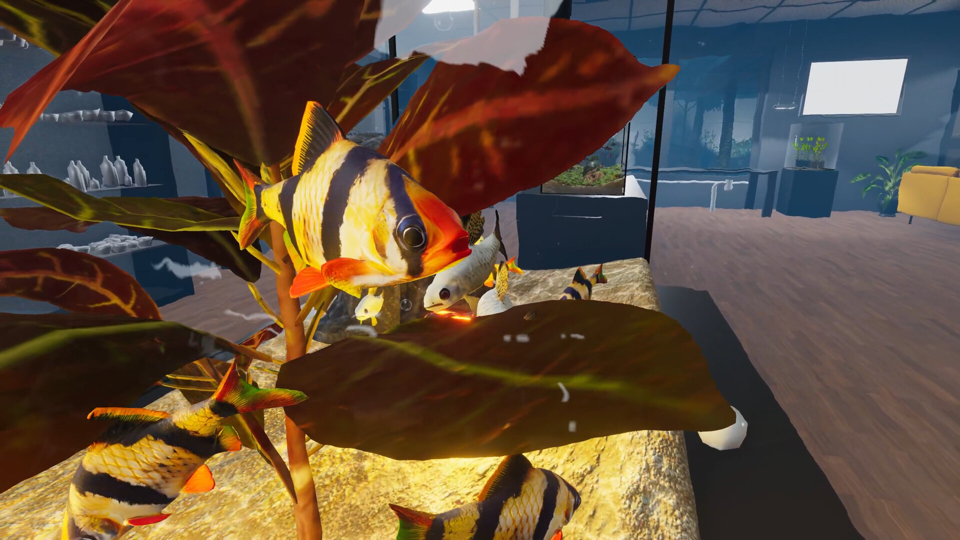 Aquarist - Asian Fish DLC Screenshot 3
