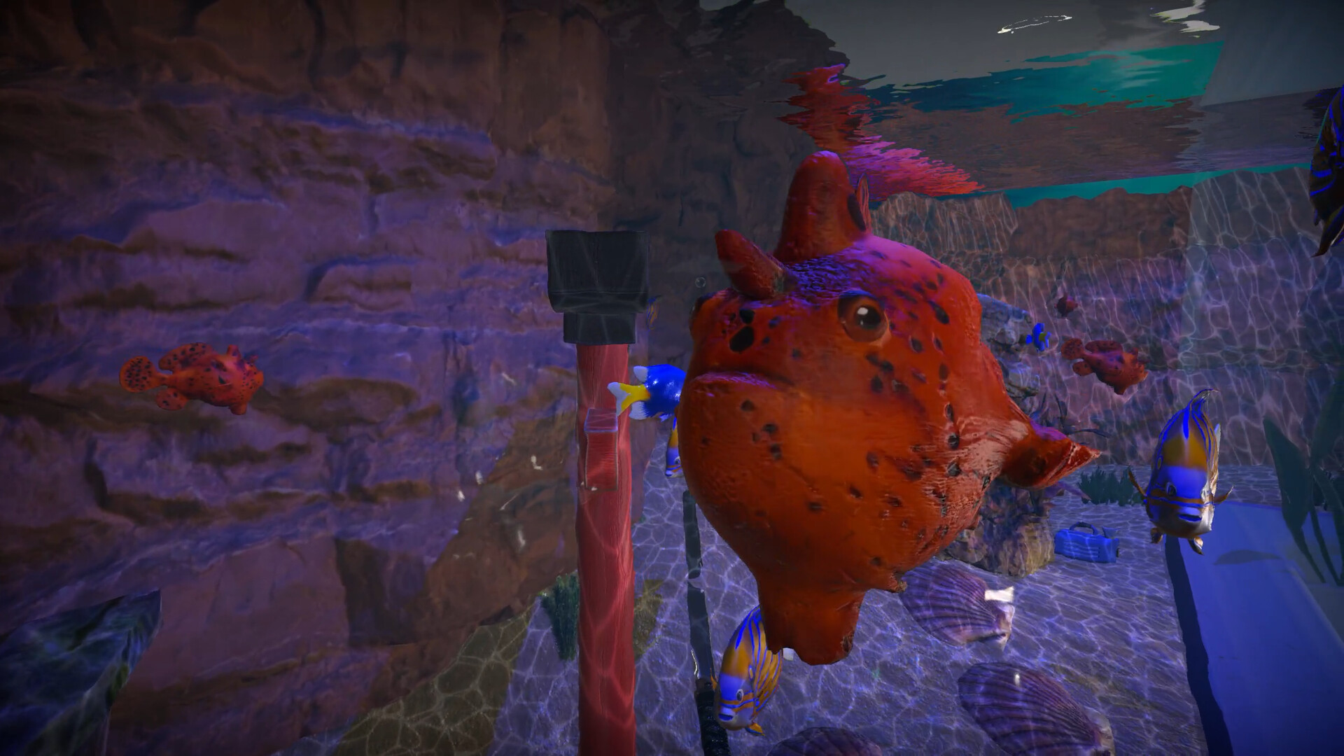 Aquarist - Asian Fish DLC Screenshot 6