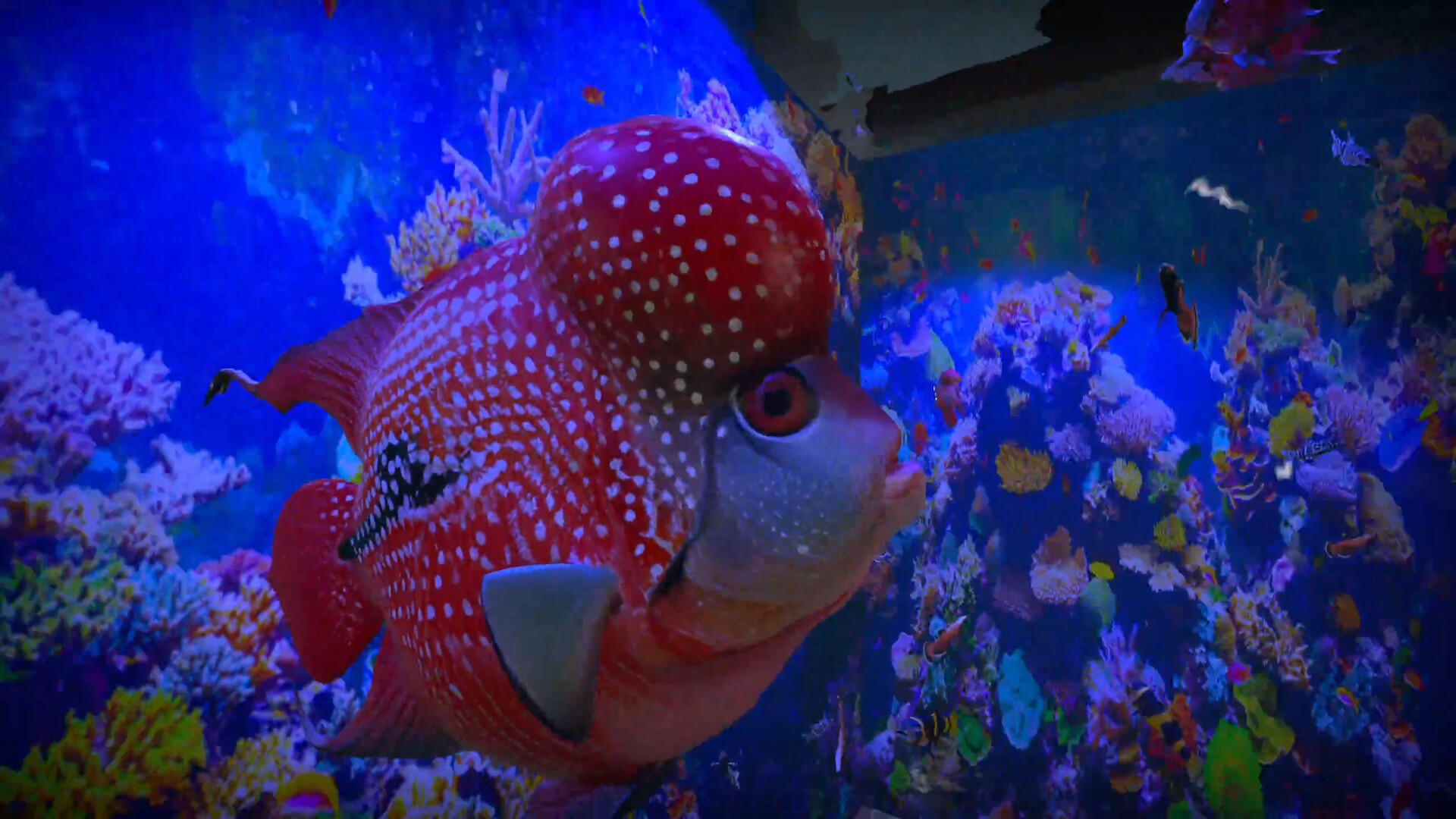 Aquarist - Asian Fish DLC Screenshot 0