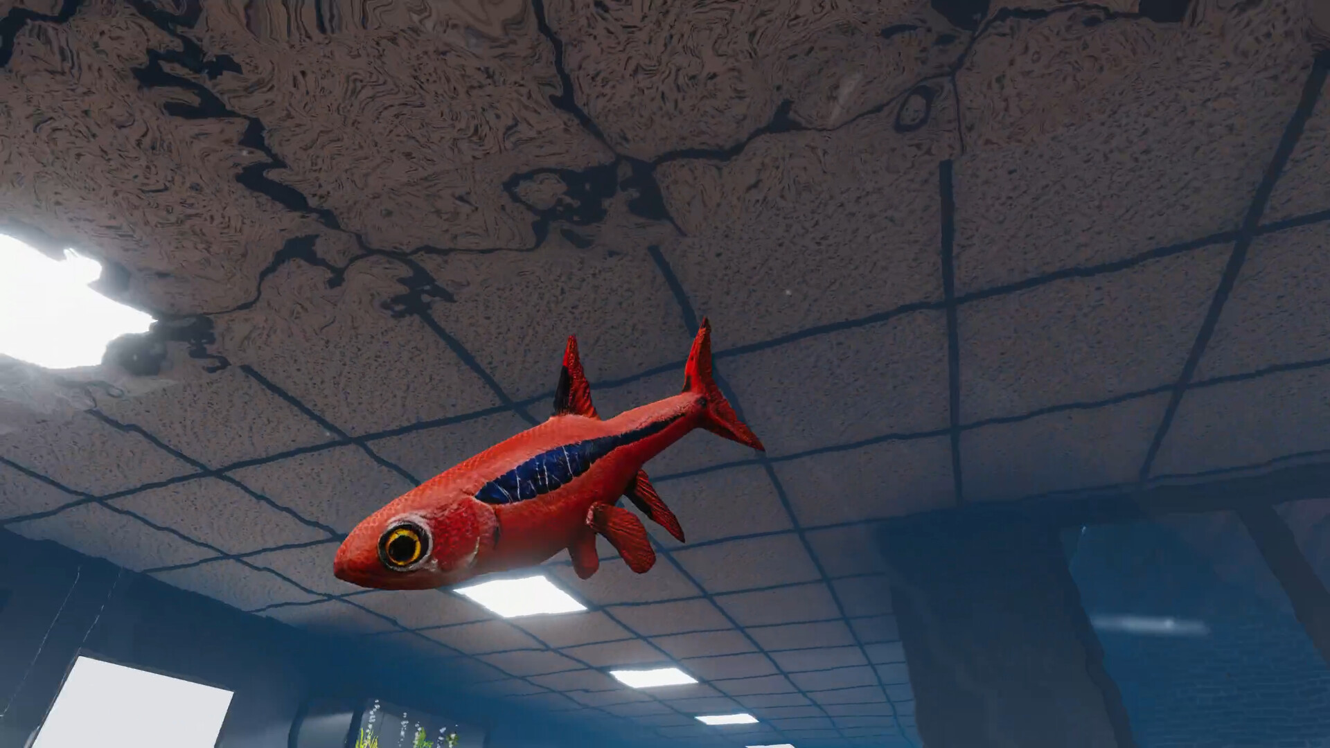 Aquarist - Asian Fish DLC Screenshot 7