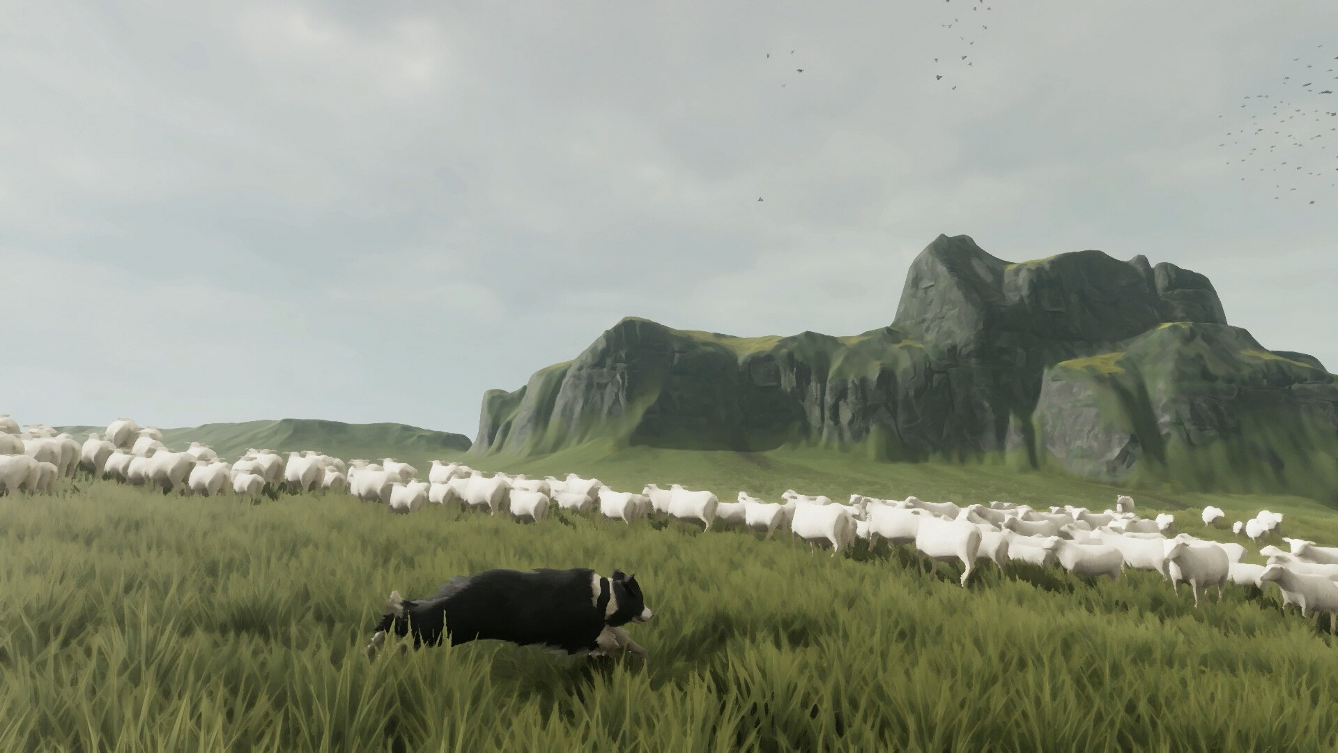 The Free Shepherd Screenshot 0