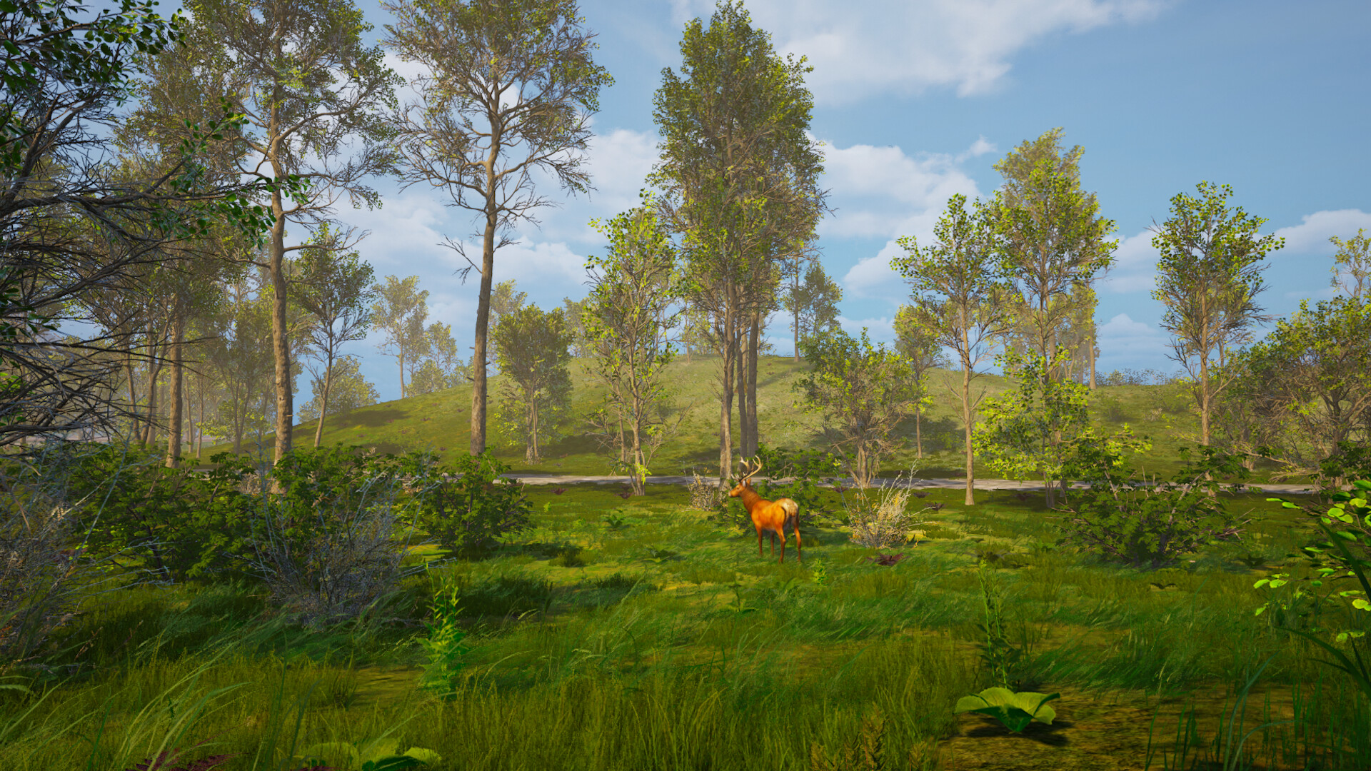 Island Paradise Screenshot 15