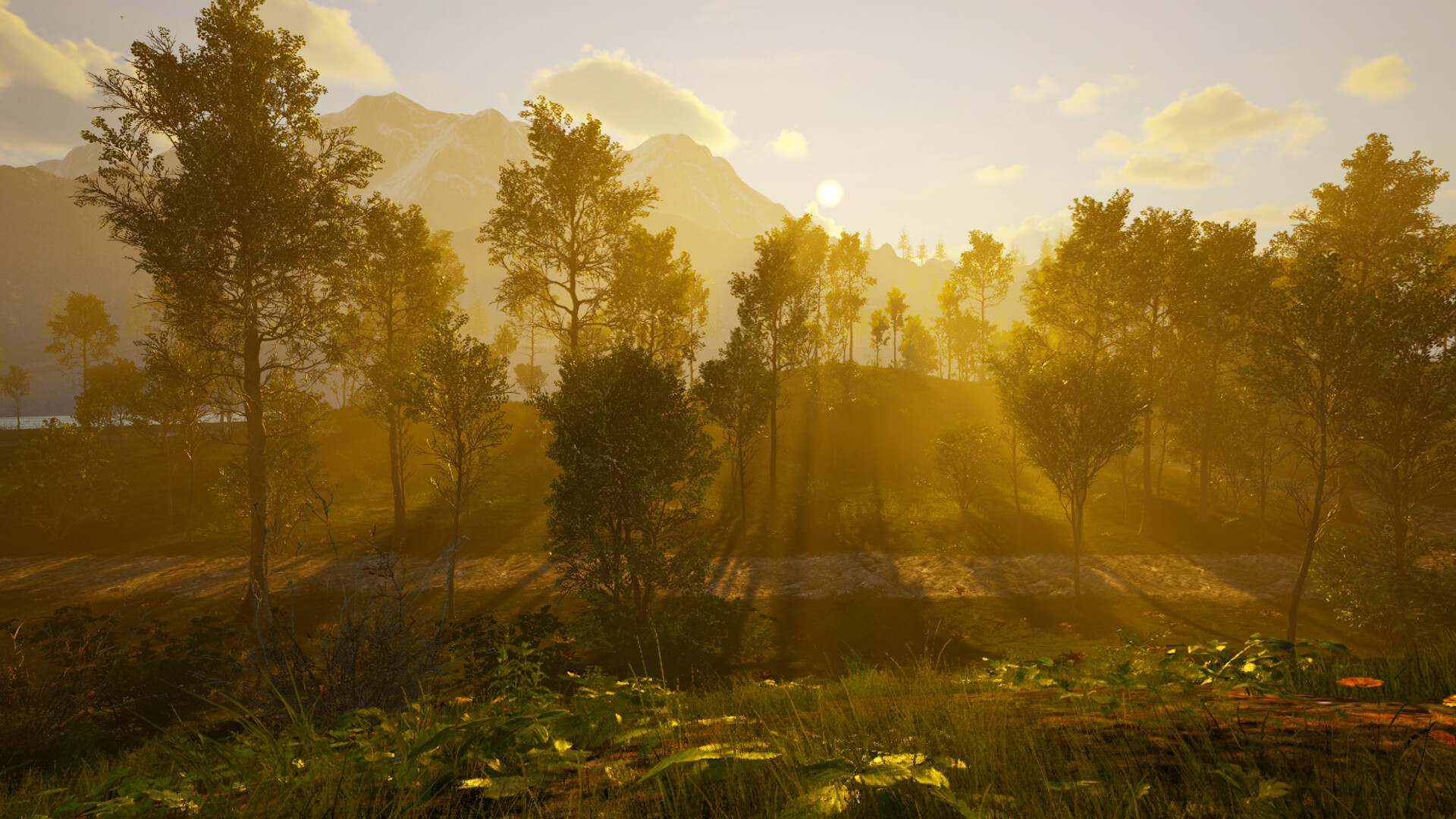 Island Paradise Screenshot 14