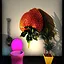 Super Secret Toilet Mango icon