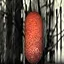 Antipsychotics icon