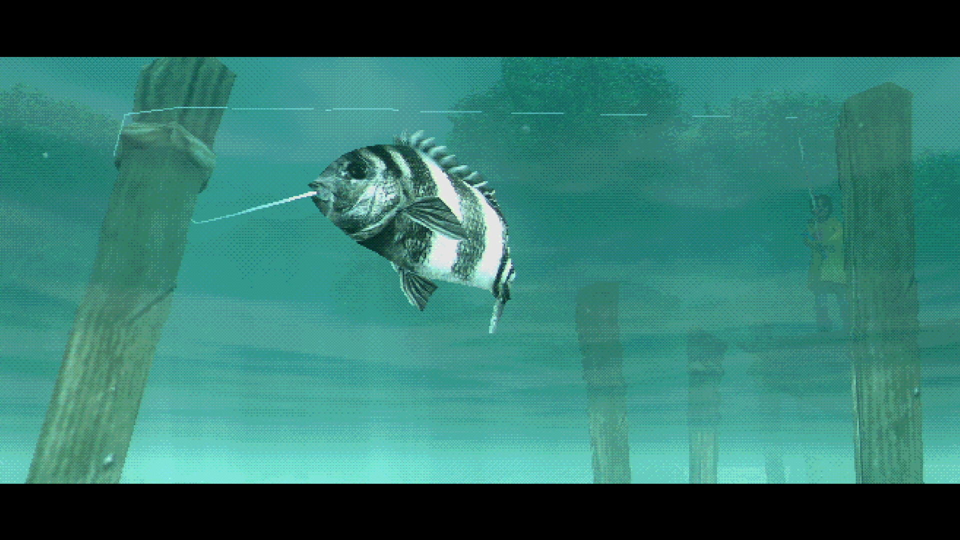 About Fishing Screenshot 5