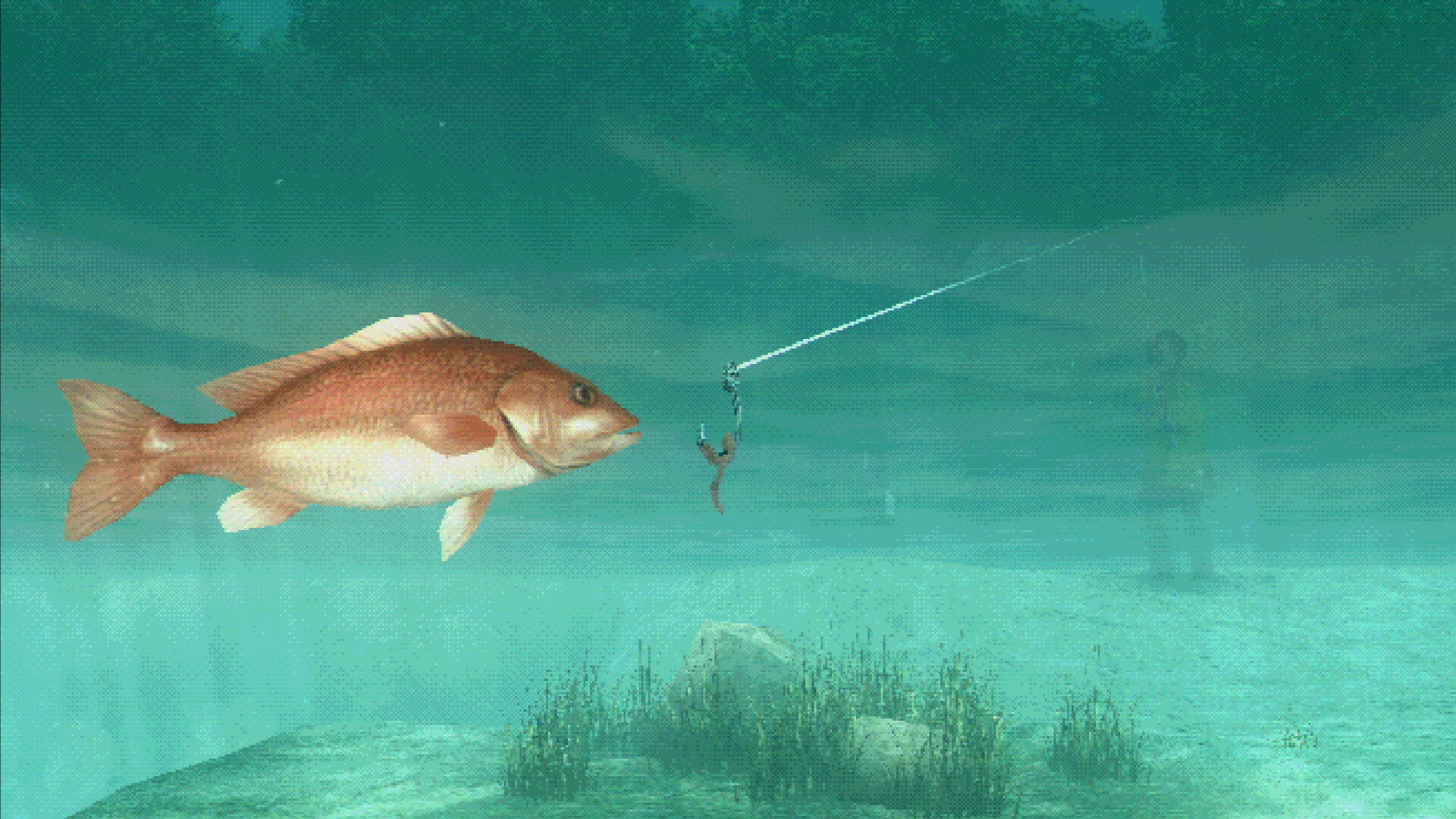 About Fishing Screenshot 0
