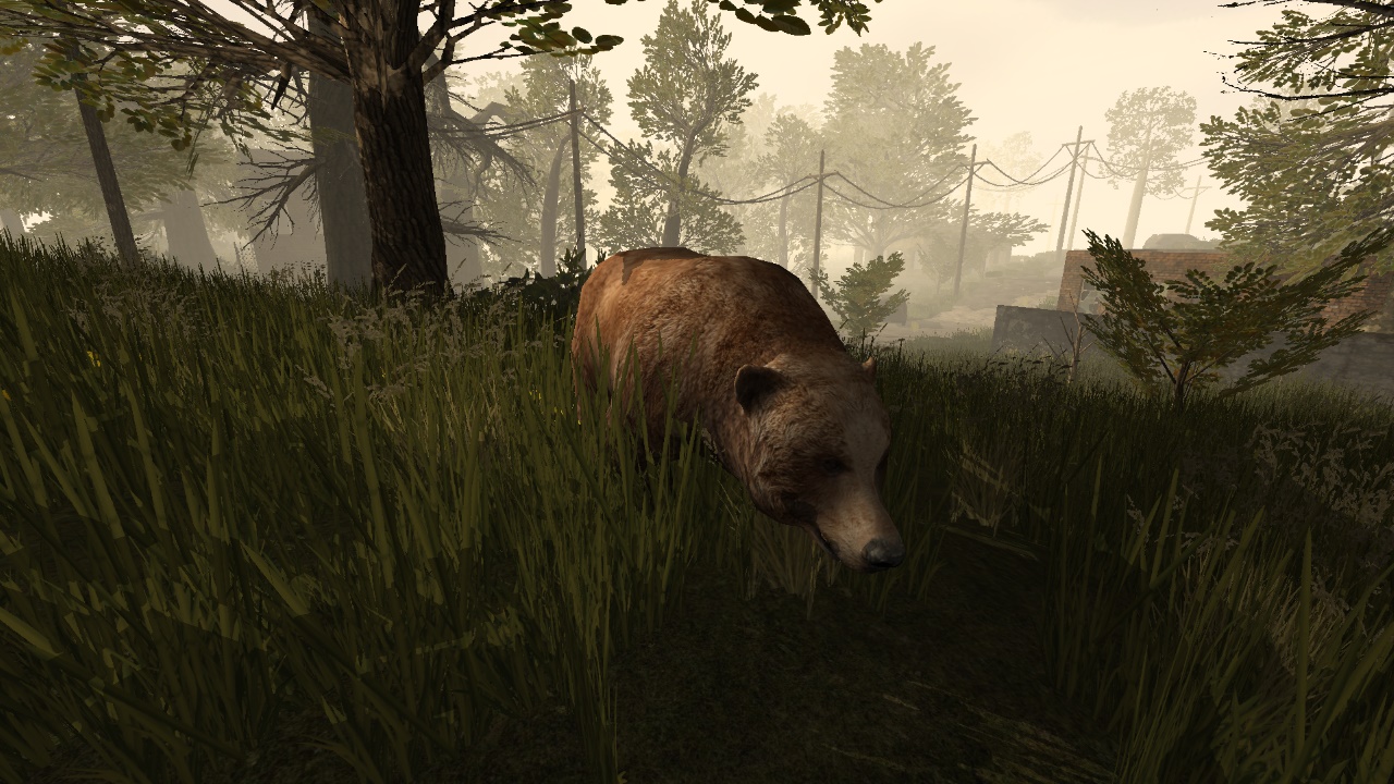 PostCollapse Screenshot 7