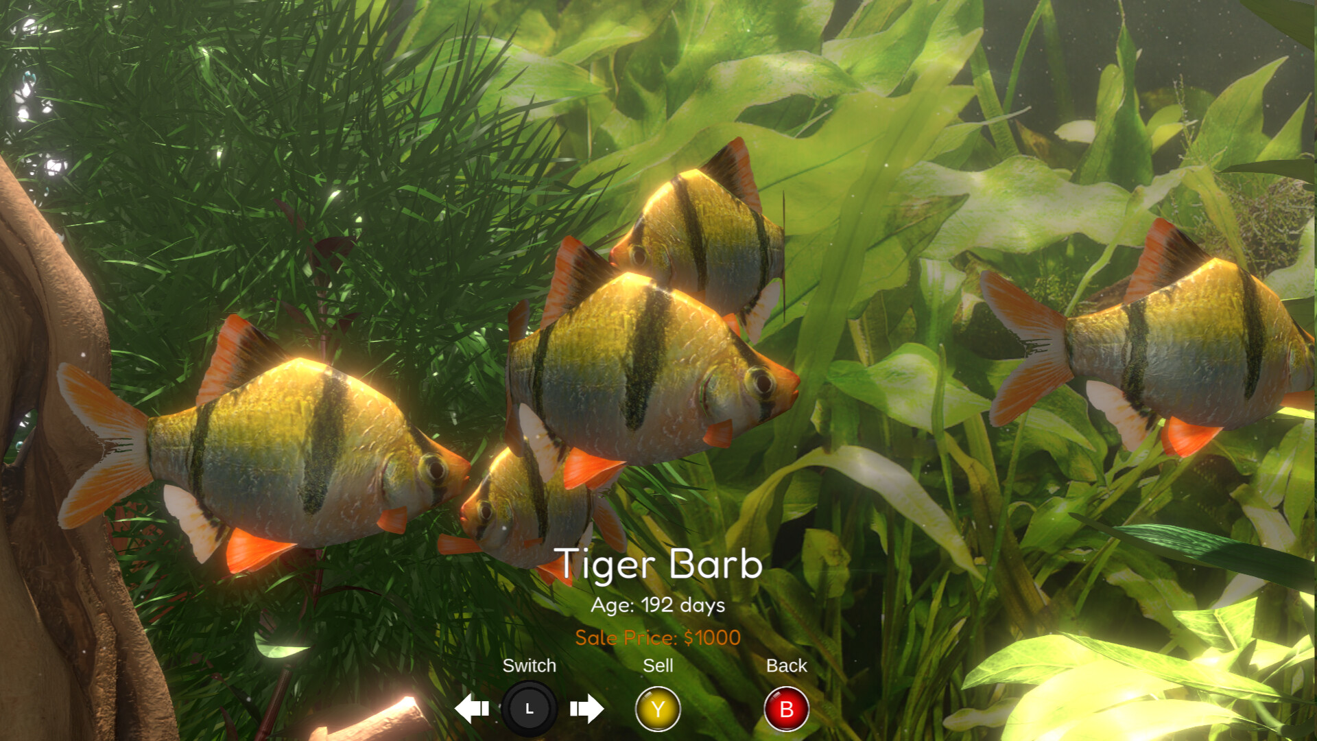 Snapshot Aquarium Screenshot 5