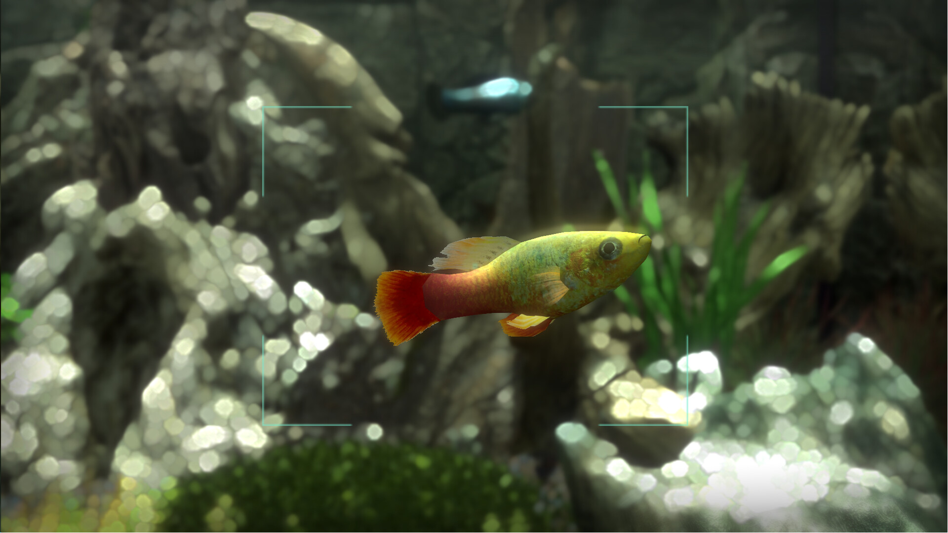 Snapshot Aquarium Screenshot 7