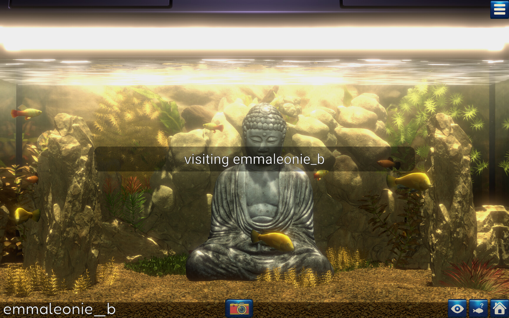 Snapshot Aquarium Screenshot 10