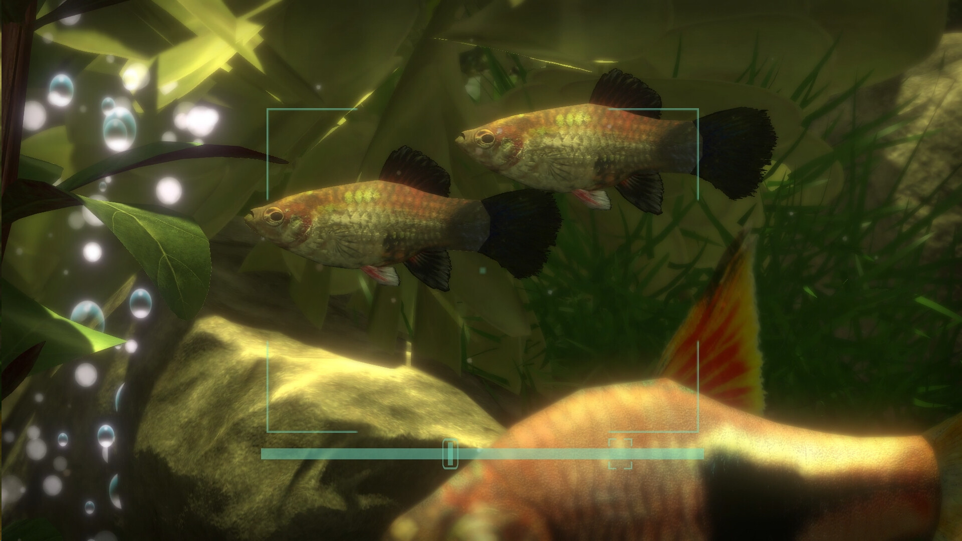 Snapshot Aquarium Screenshot 9