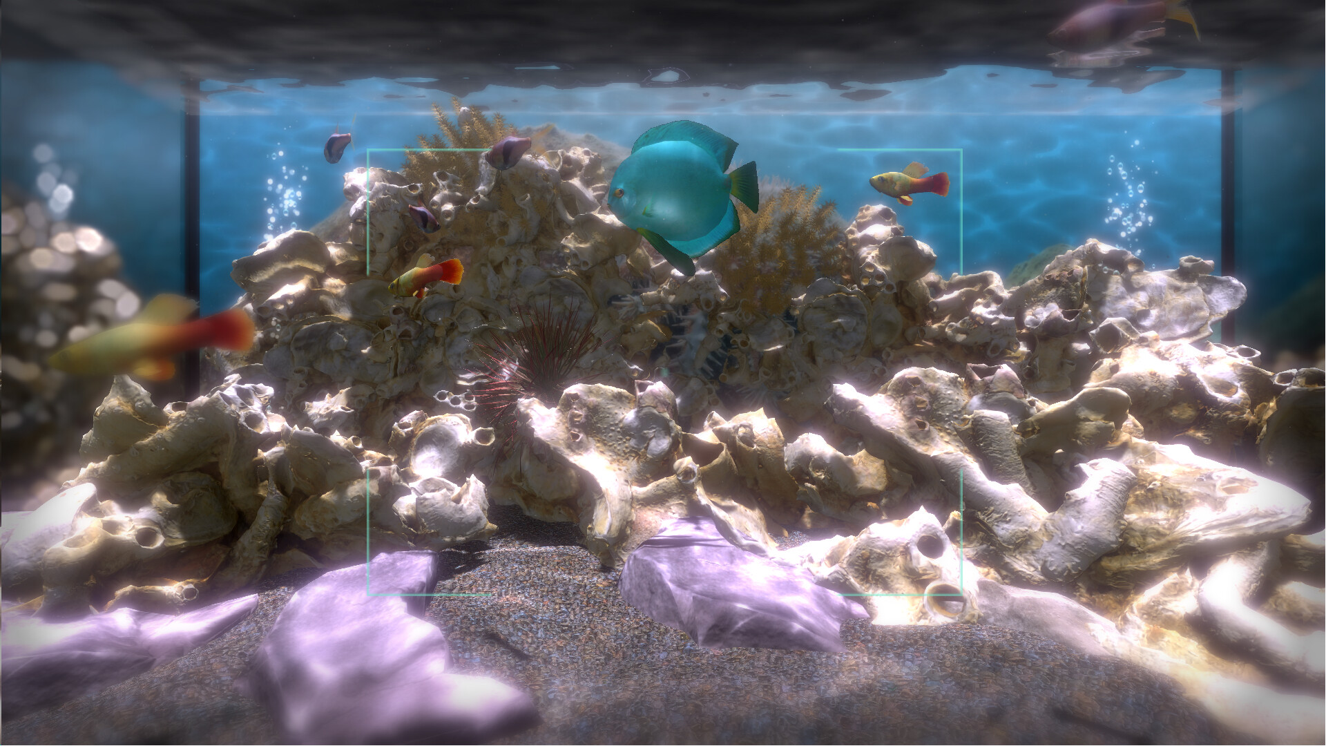 Snapshot Aquarium Screenshot 6
