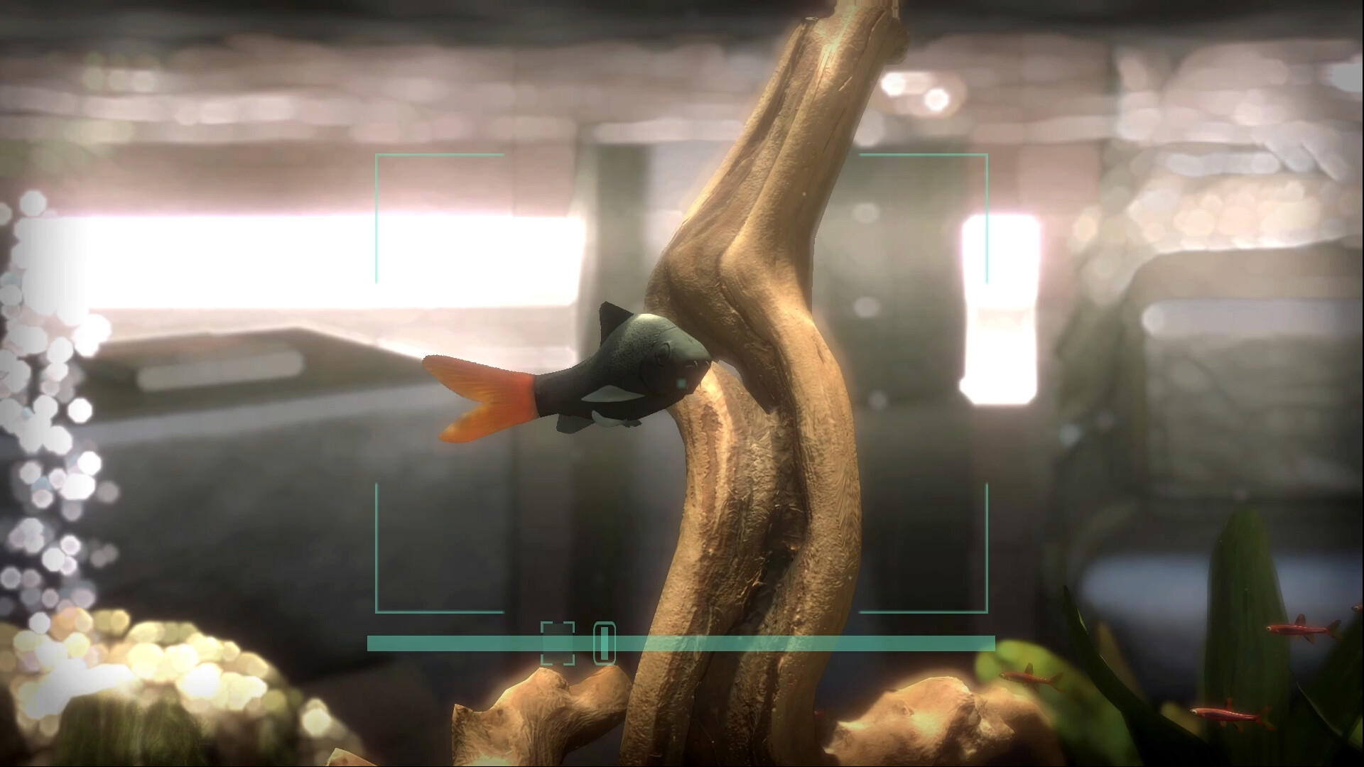 Snapshot Aquarium Screenshot 2