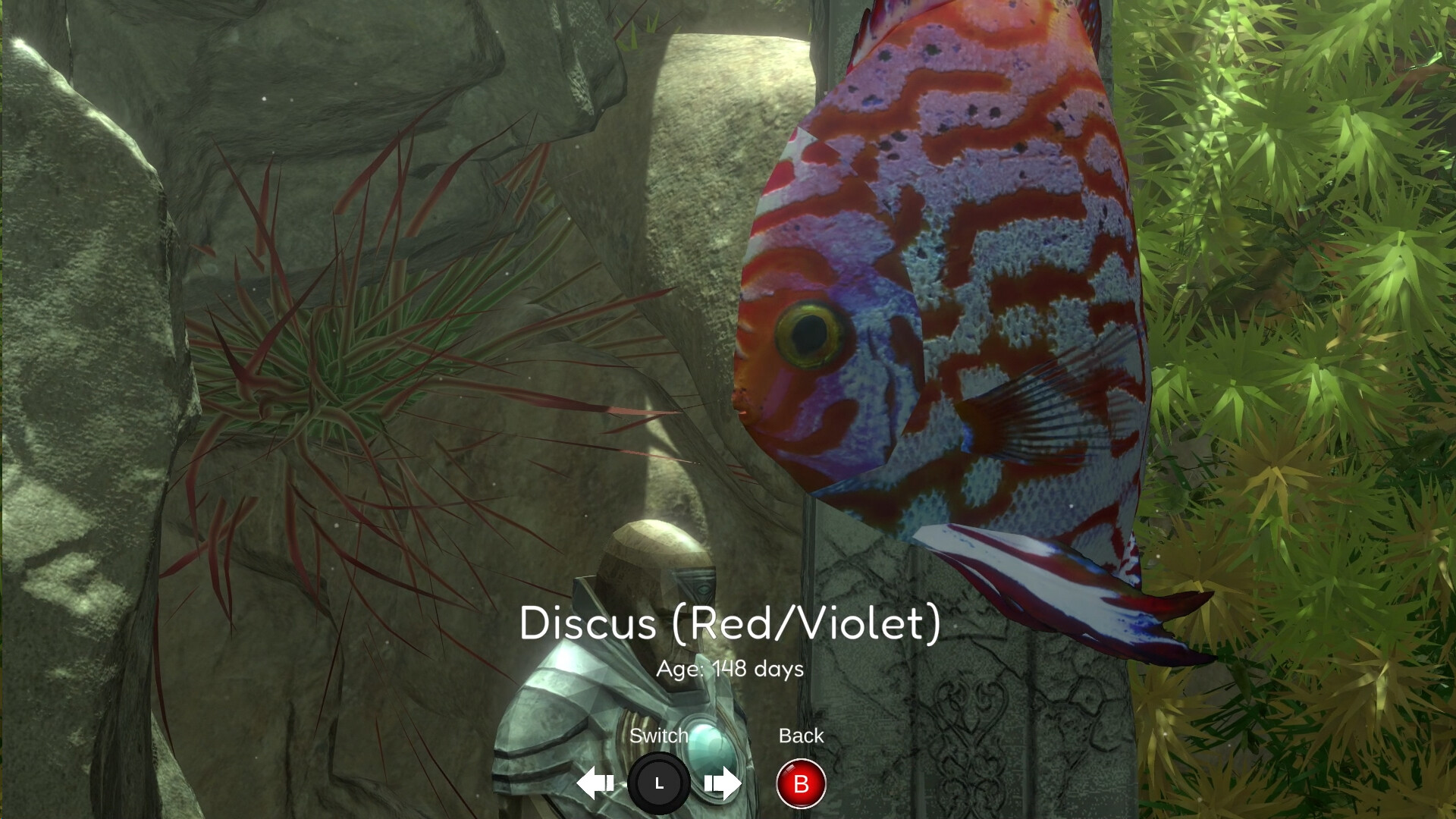 Snapshot Aquarium Screenshot 3