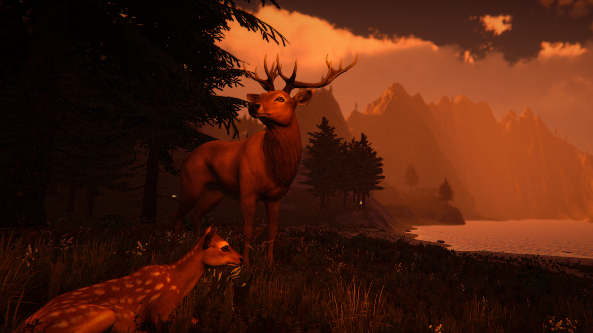 Galloping Dream Screenshot 3