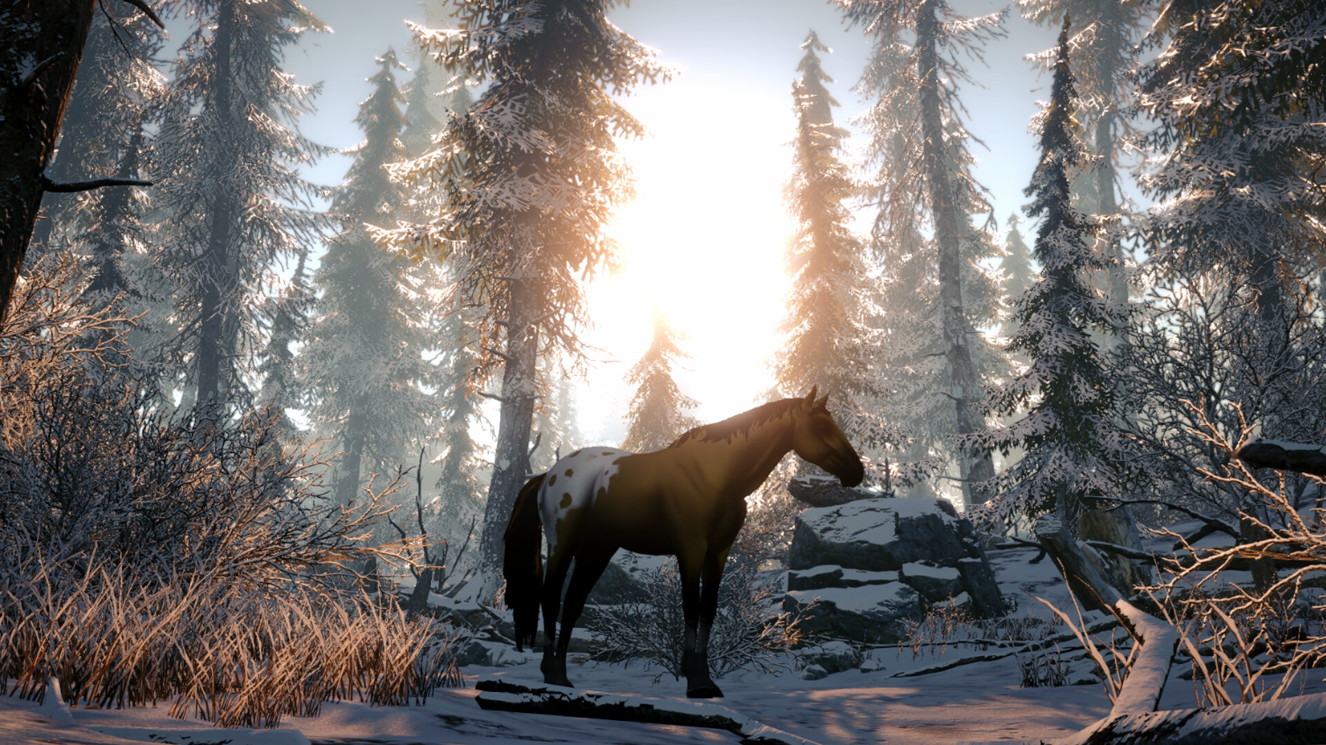 Galloping Dream Screenshot 1