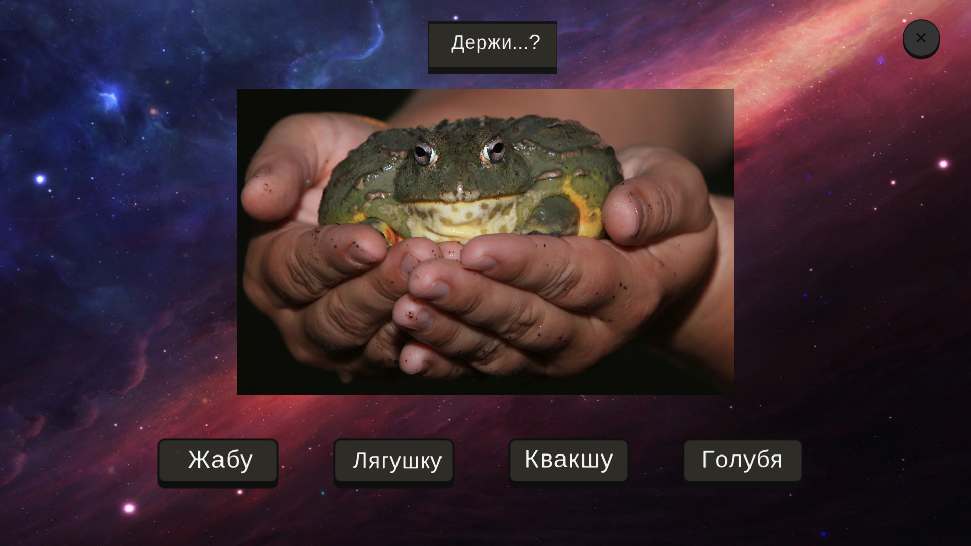 МЕМОЛОГИЯ Screenshot 6