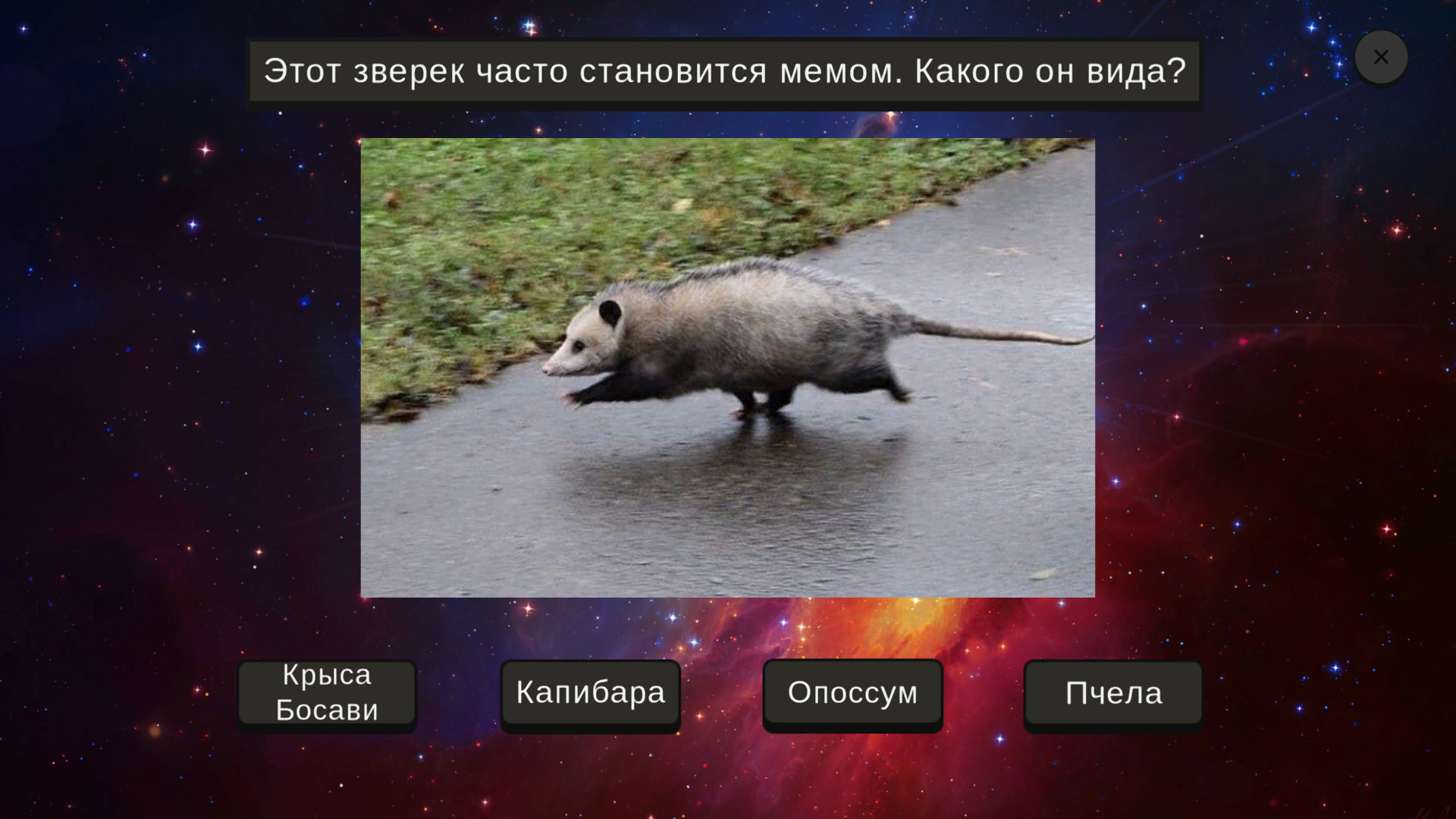 МЕМОЛОГИЯ Screenshot 5