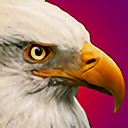 Eagle Eye icon