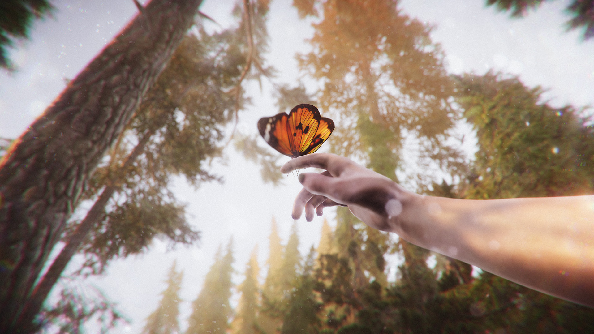 The Forest Cathedral Screenshot 4