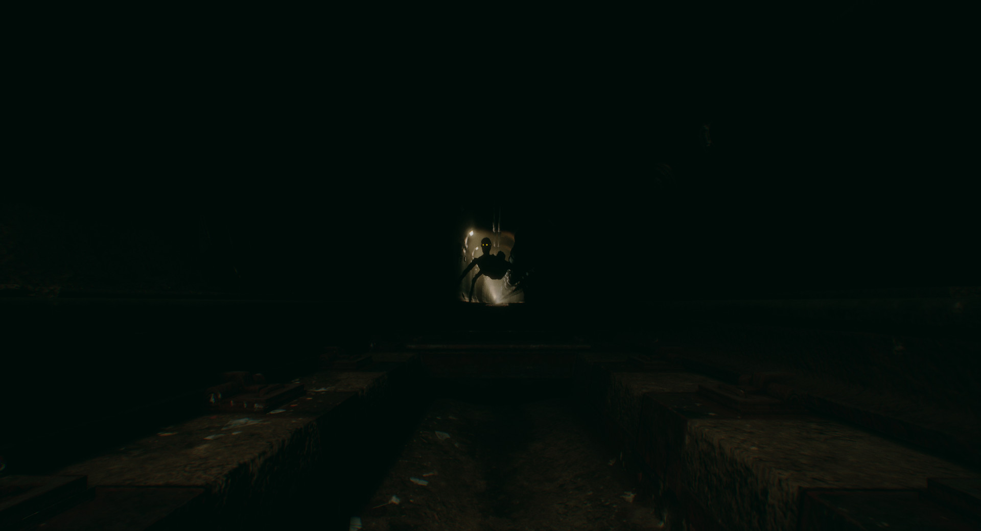 The Backrooms Project Screenshot 10