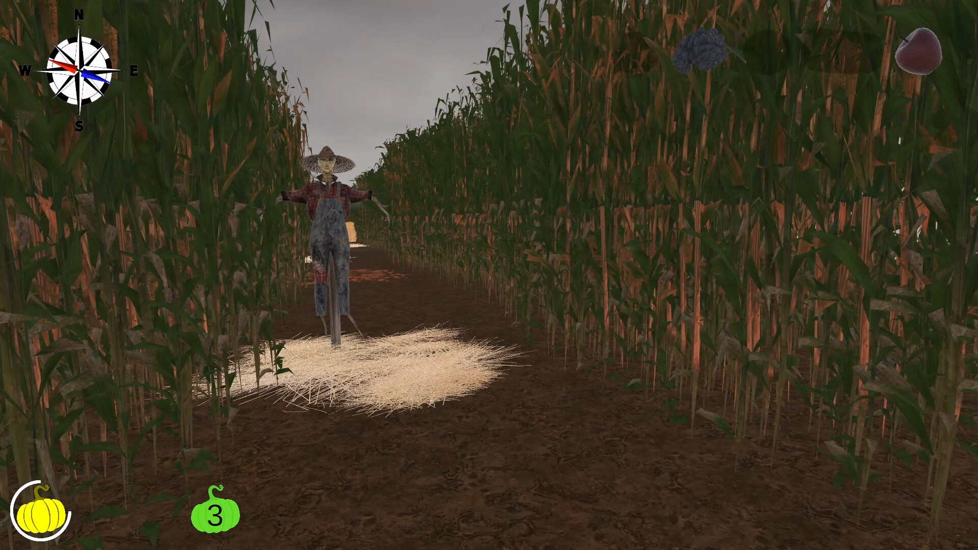 MAiZE Screenshot 24