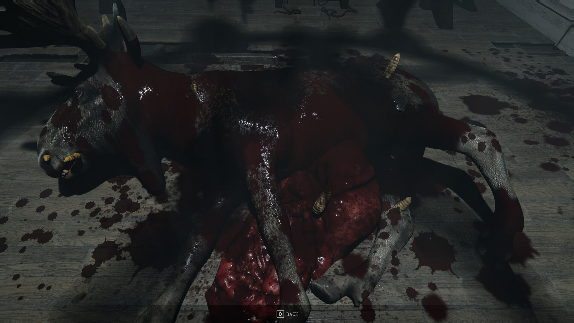 Skinrot Screenshot 15