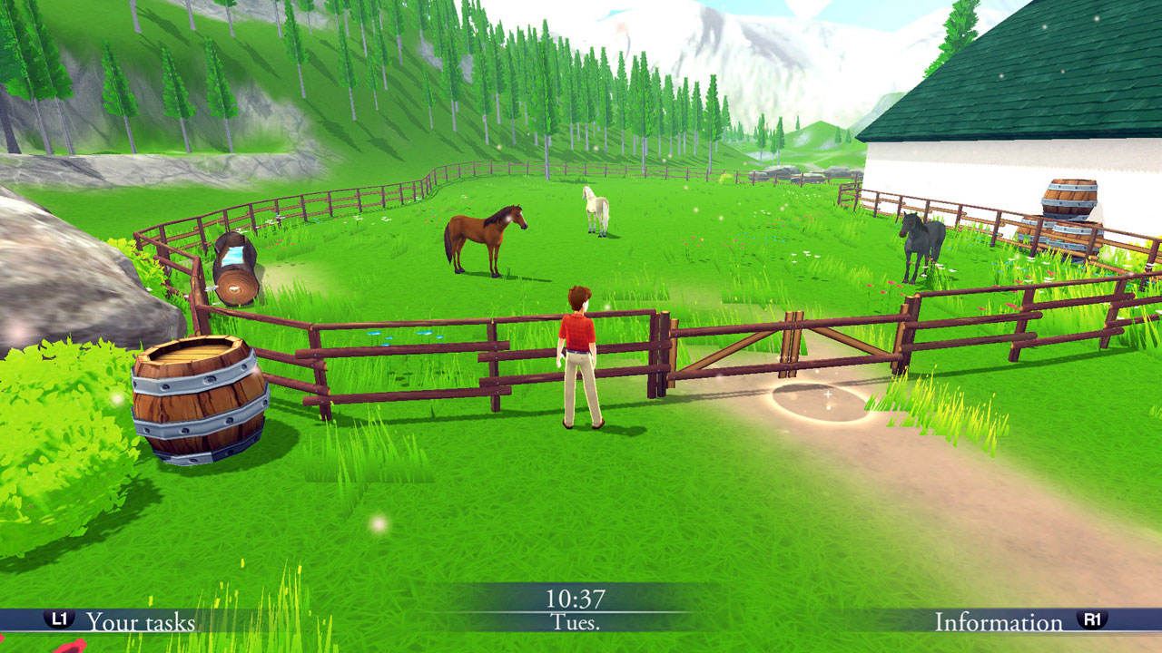 My Riding Stables: Your Horse breeding Screenshot 2