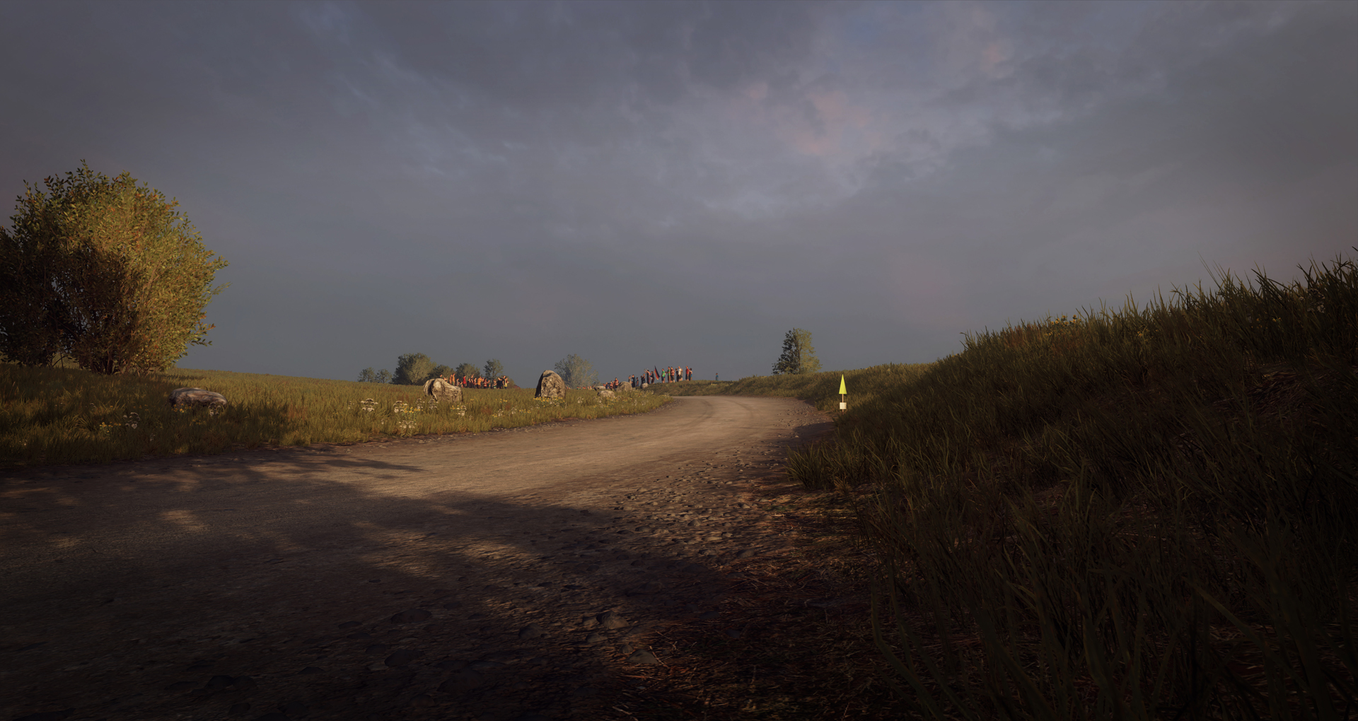 DiRT Rally 2.0 - Germany (Rally Location) Screenshot 0