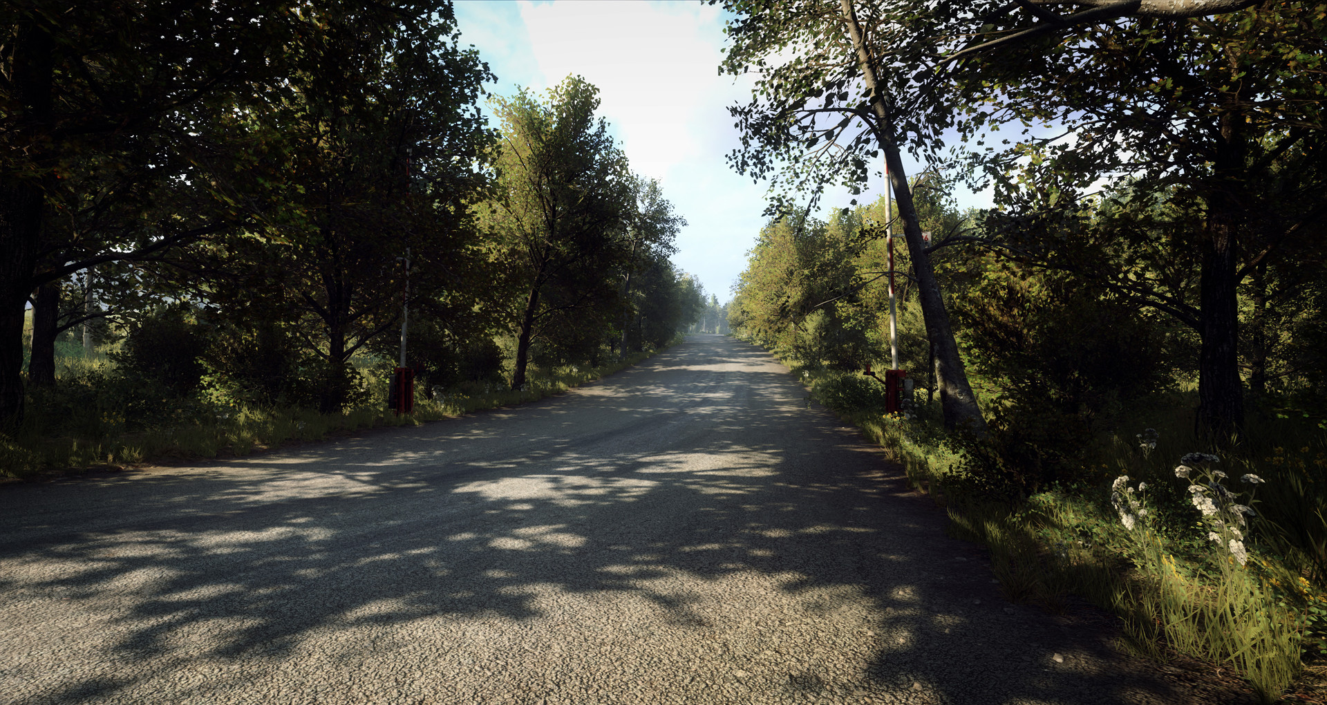 DiRT Rally 2.0 - Germany (Rally Location) Screenshot 4