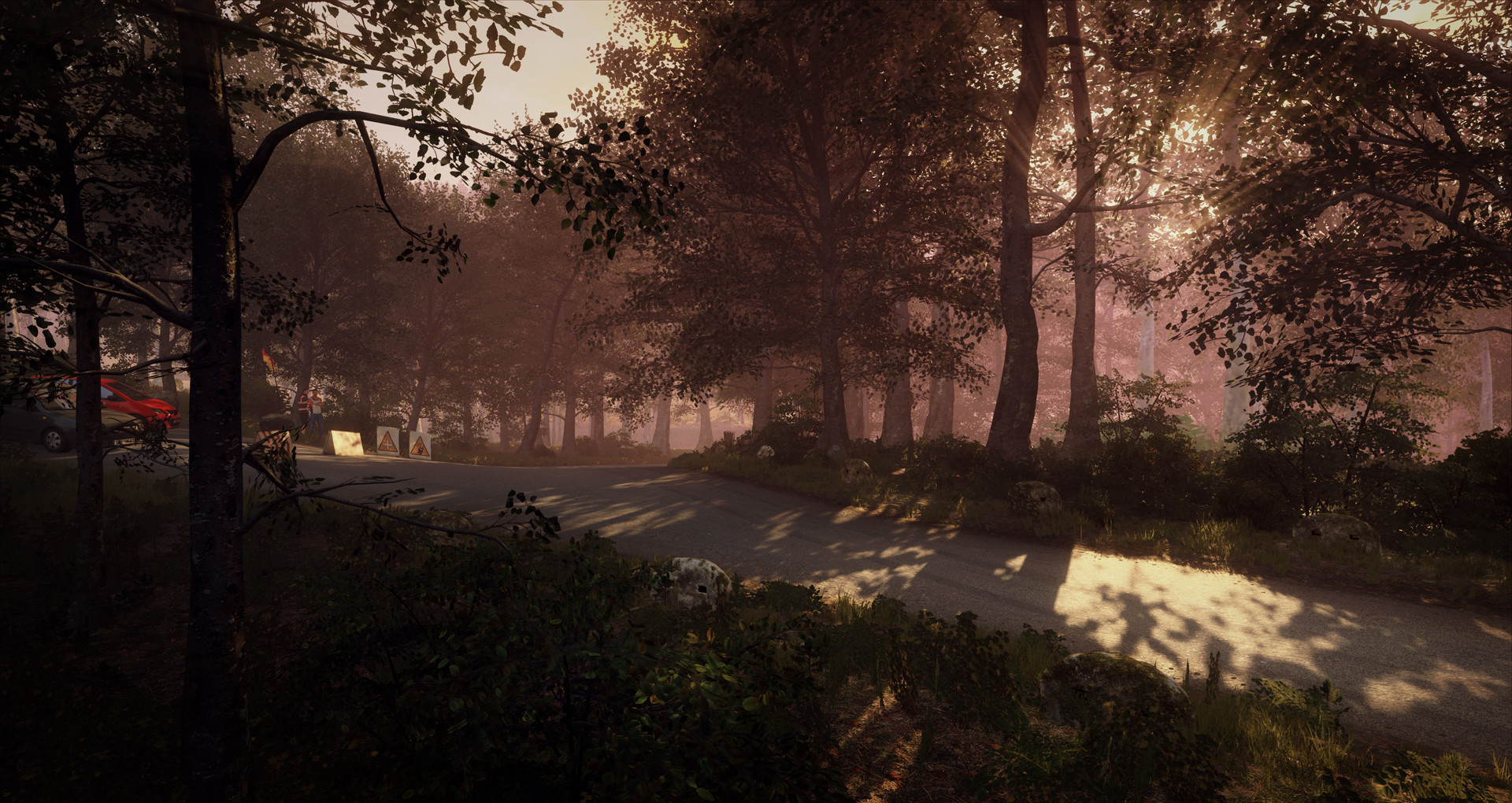 DiRT Rally 2.0 - Germany (Rally Location) Screenshot 6