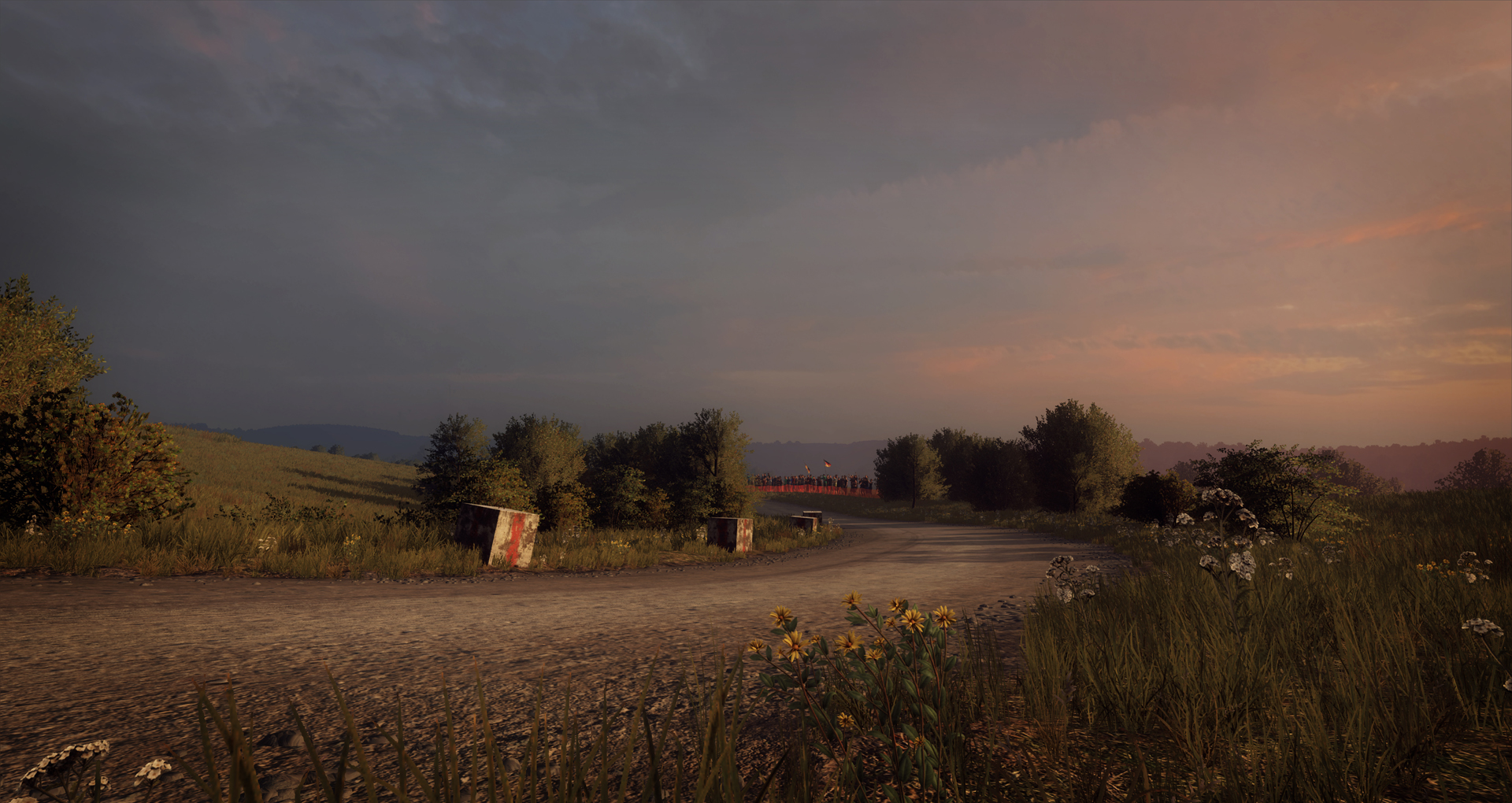 DiRT Rally 2.0 - Germany (Rally Location) Screenshot 2