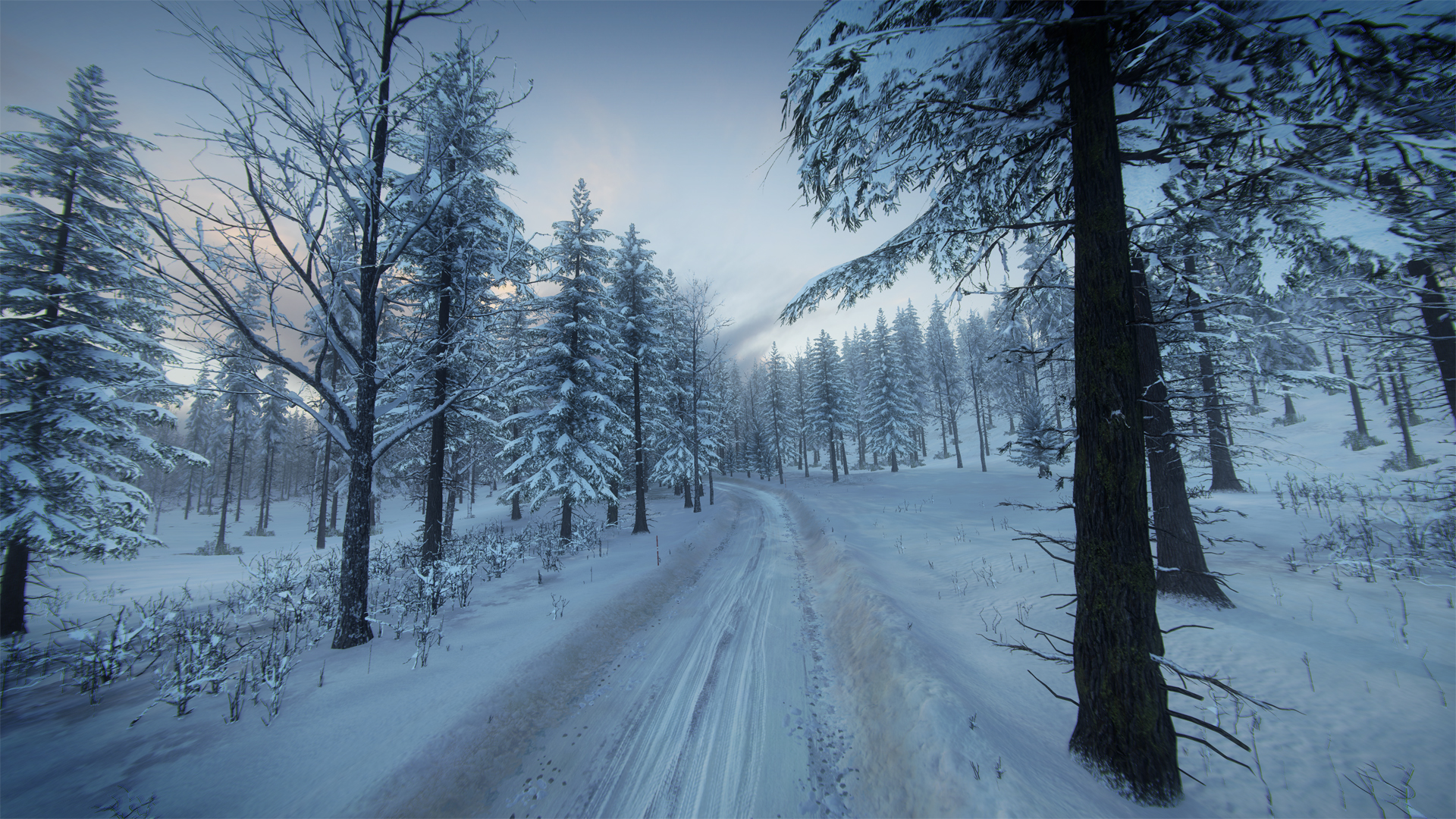 DiRT Rally 2.0 - Sweden (Rally Location) Screenshot 6